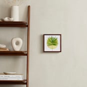 "spotlight - fan palm" - Art Print in palm frond by Kiana Lee - In a Room