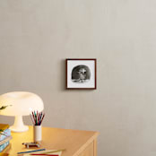 "Along Came Fox" - Art Print in Soft Black by Sarah Holden - In a Room