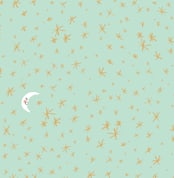 "Good Night Moon and Stars" - Wall Mural in Mint by Patrice Horvath - Full Size