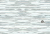"Seal" - Wall Mural in Cream by Jorey Hurley - Full Size