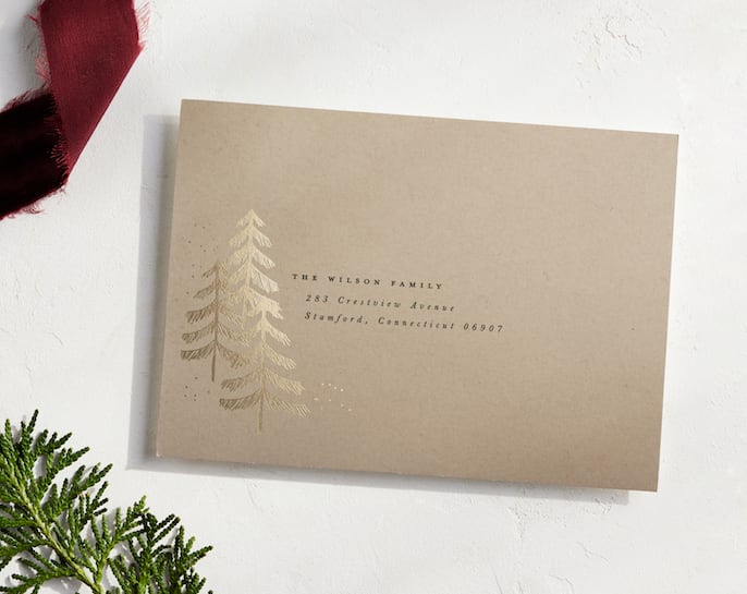 New - The Minted Real-Foil Envelope