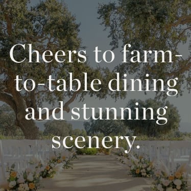 VINEYARD WEDDING THEME
