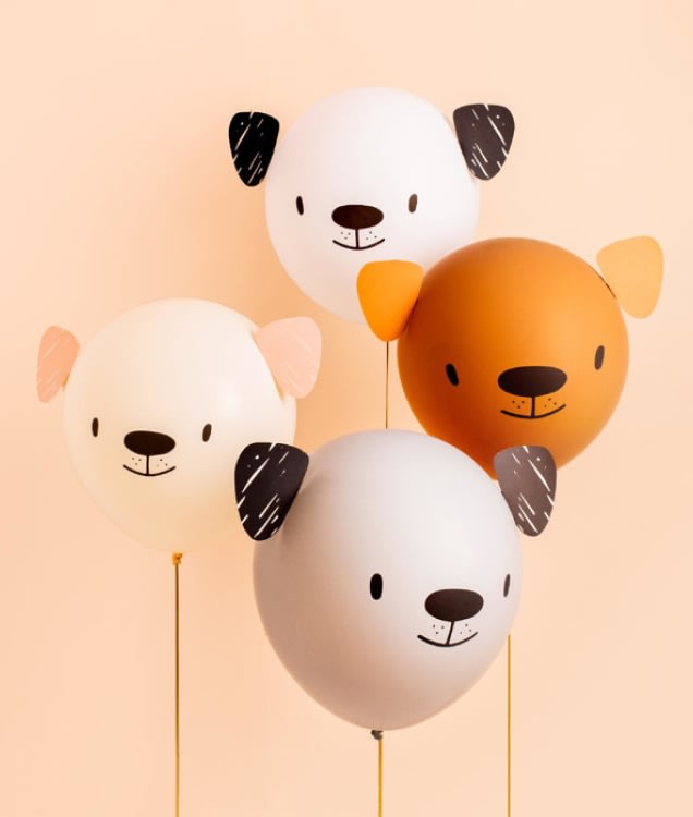 Bow Wow DIY Balloon Decorating Set by Jollity and Co