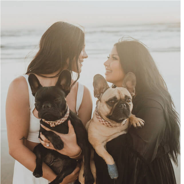 Holiday Photo Ideas with Your Furry Friends
