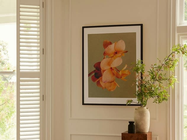 Article: An introduction to collecting art