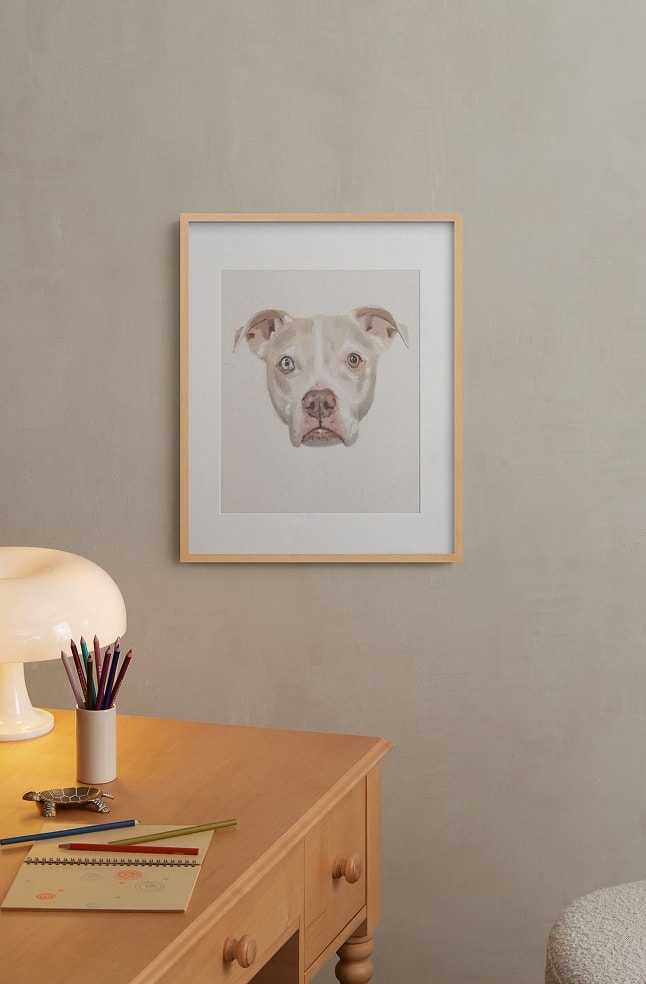 Gifts for Animal Lovers