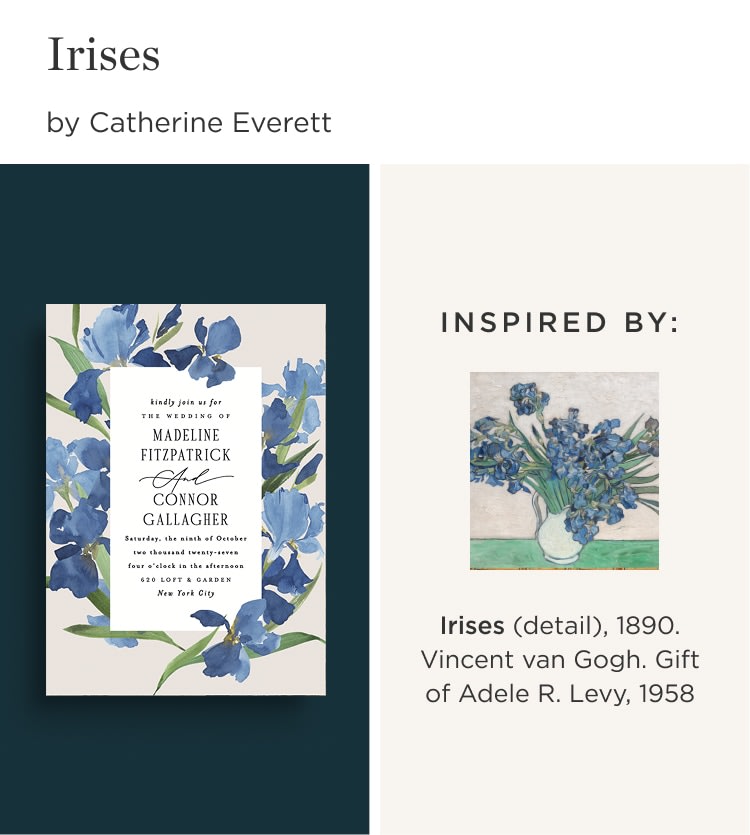 Irises, by Catherine Everett