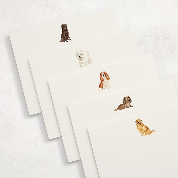 Stationery Sets
