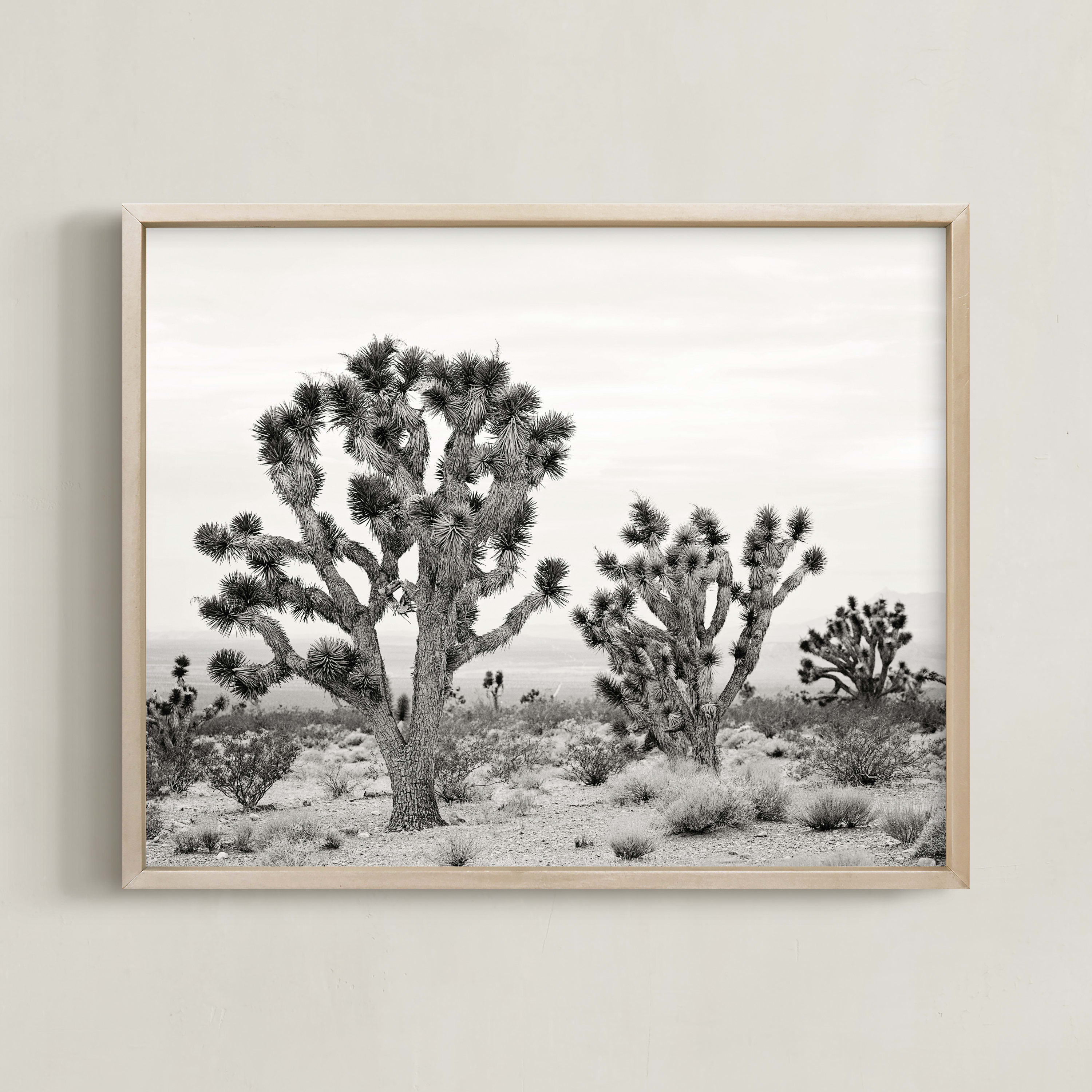 Joshua Tree Wall Art Prints by Kristi Jackson Minted