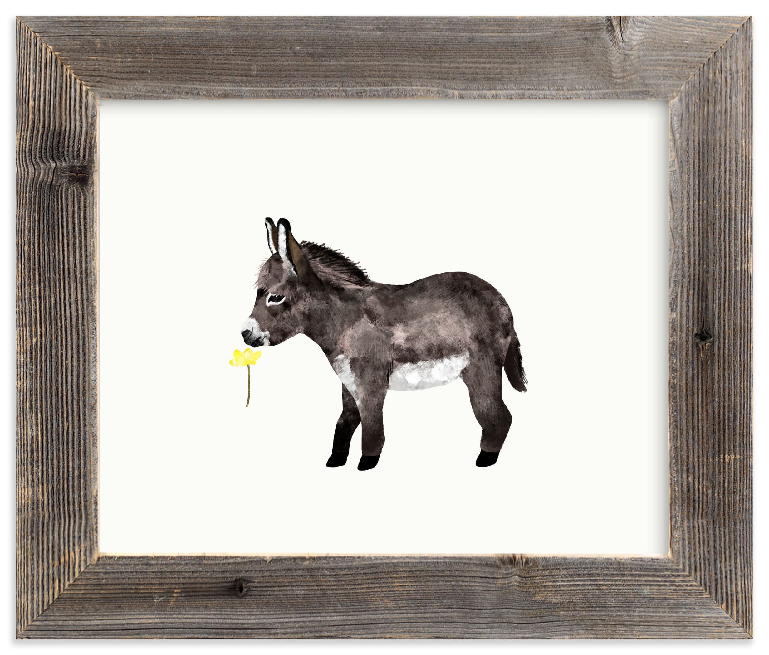 baby donkey Wall Art Prints by Cass Loh Minted