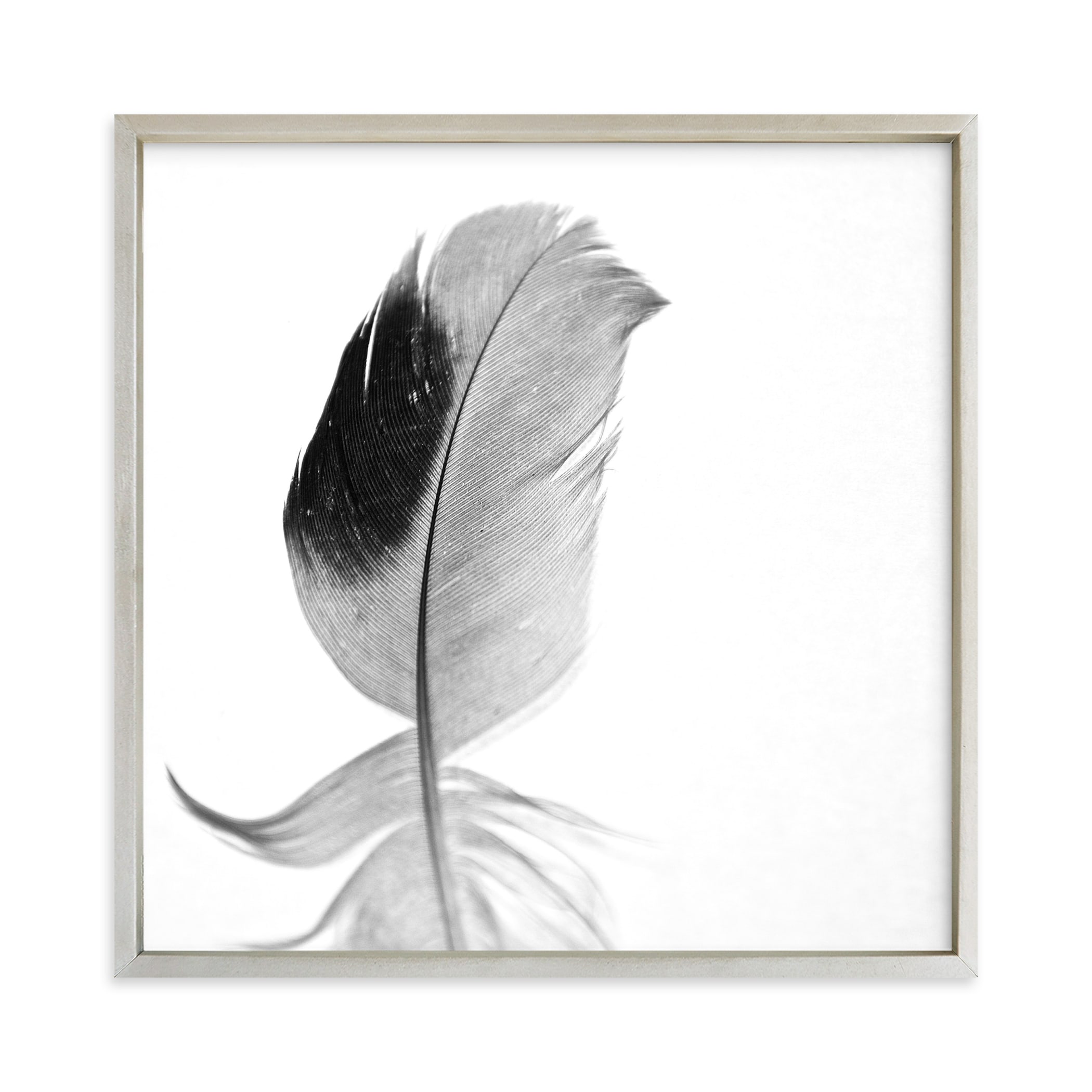 "Ruffled Feather" - Limited Edition Art Print by Sarah Luna in beautiful frame options and a variety of sizes.