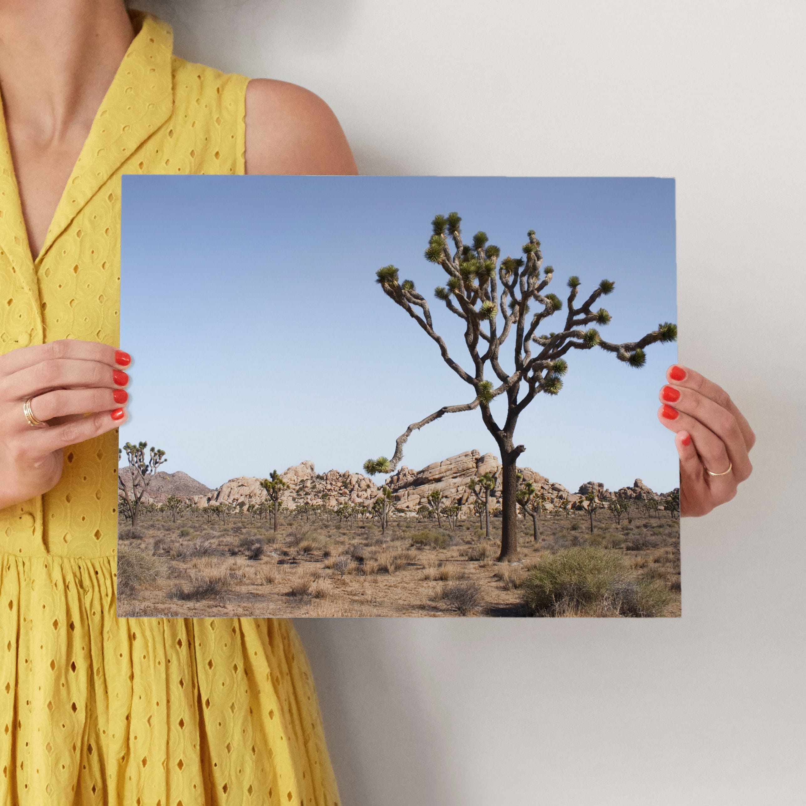 Joshua Tree With Rock Formation in Wall Art Prints by Kathy Van Torne ...