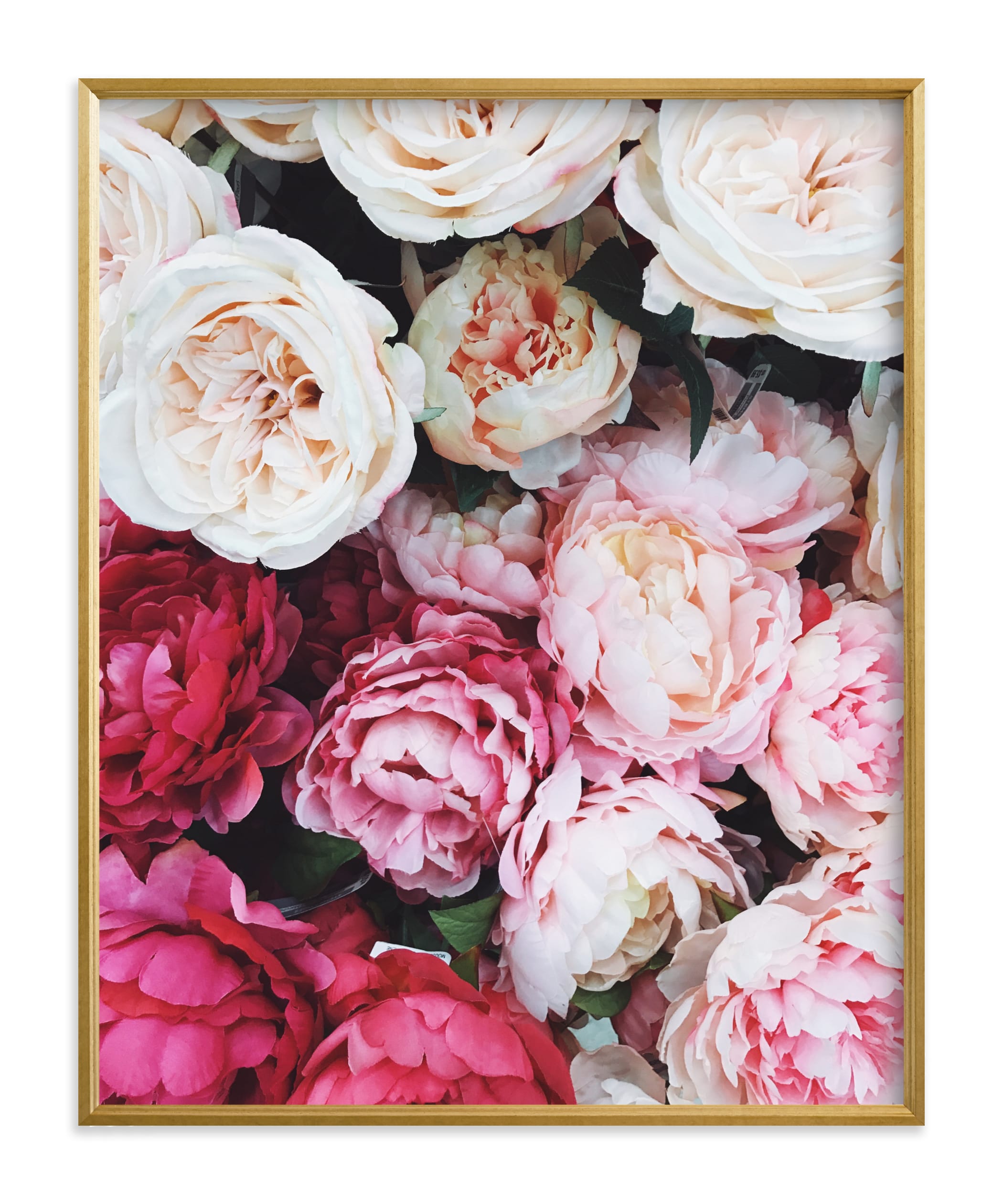 peony palette Wall Art Prints by Marabou Design | Minted