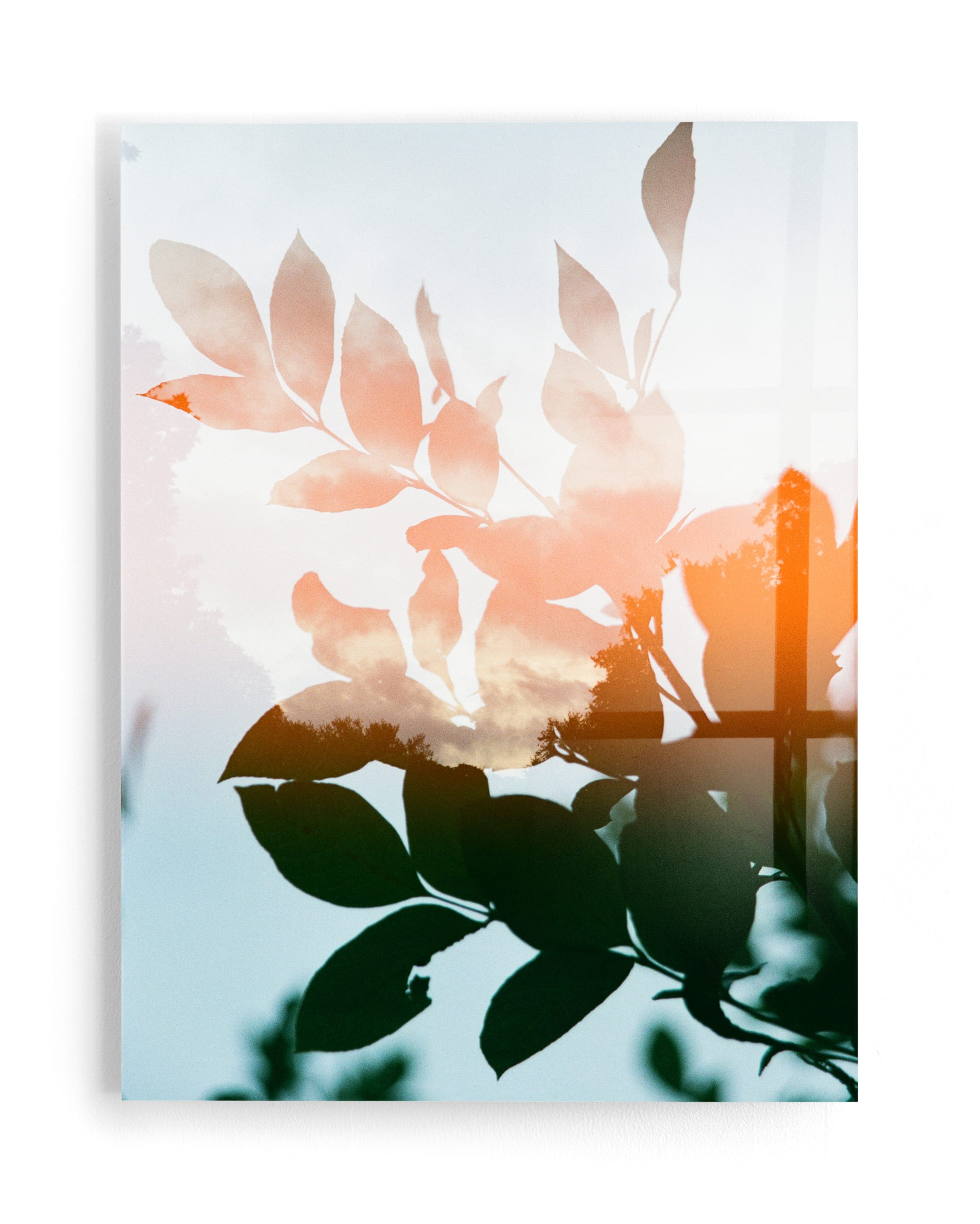 Season's Change Art Print