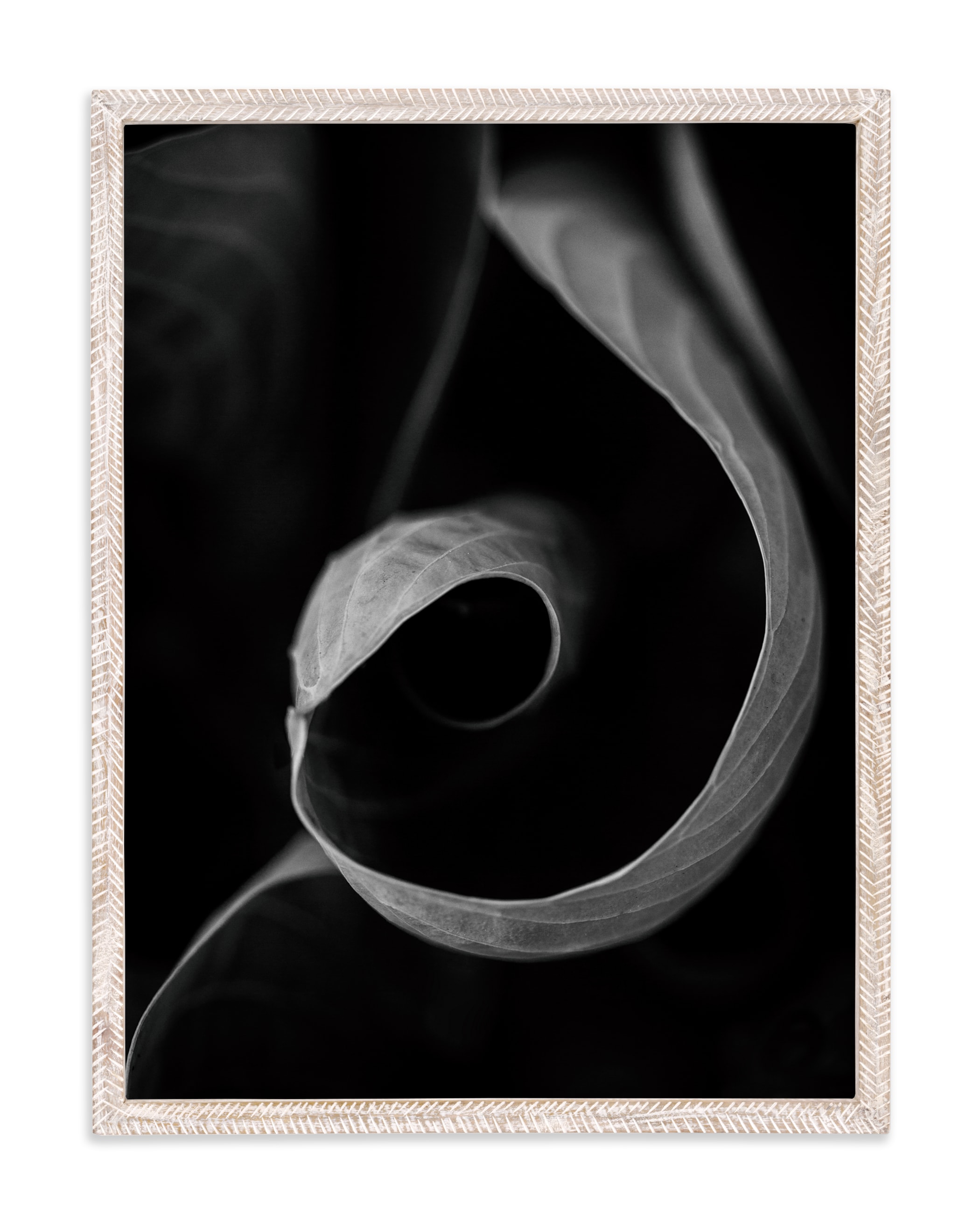 "Wrapped Around" by Alexis Arnold in beautiful frame options and a variety of sizes.