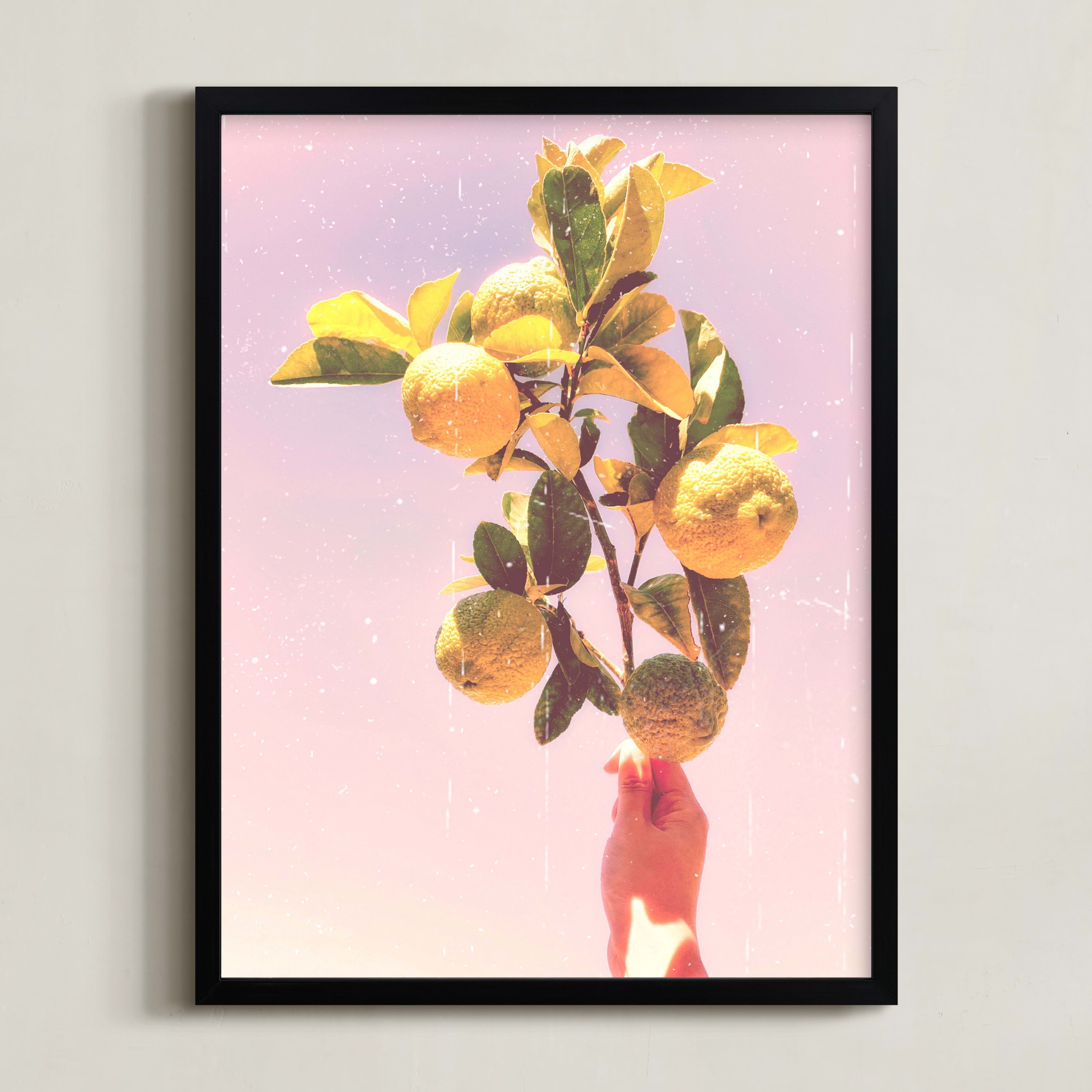 Lemon Dreaming Wall Art Prints by Jiny He Minted