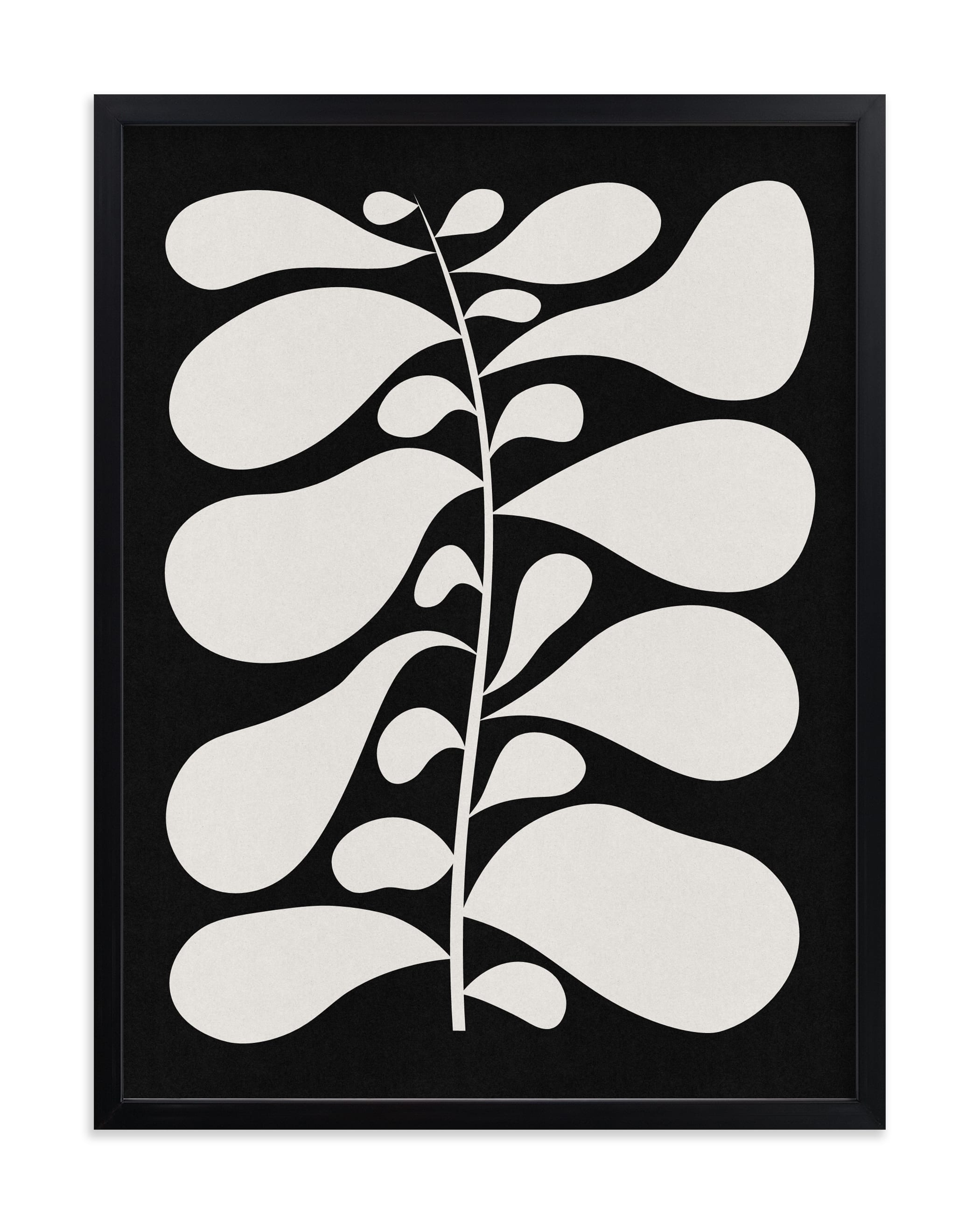 Black Plant II
