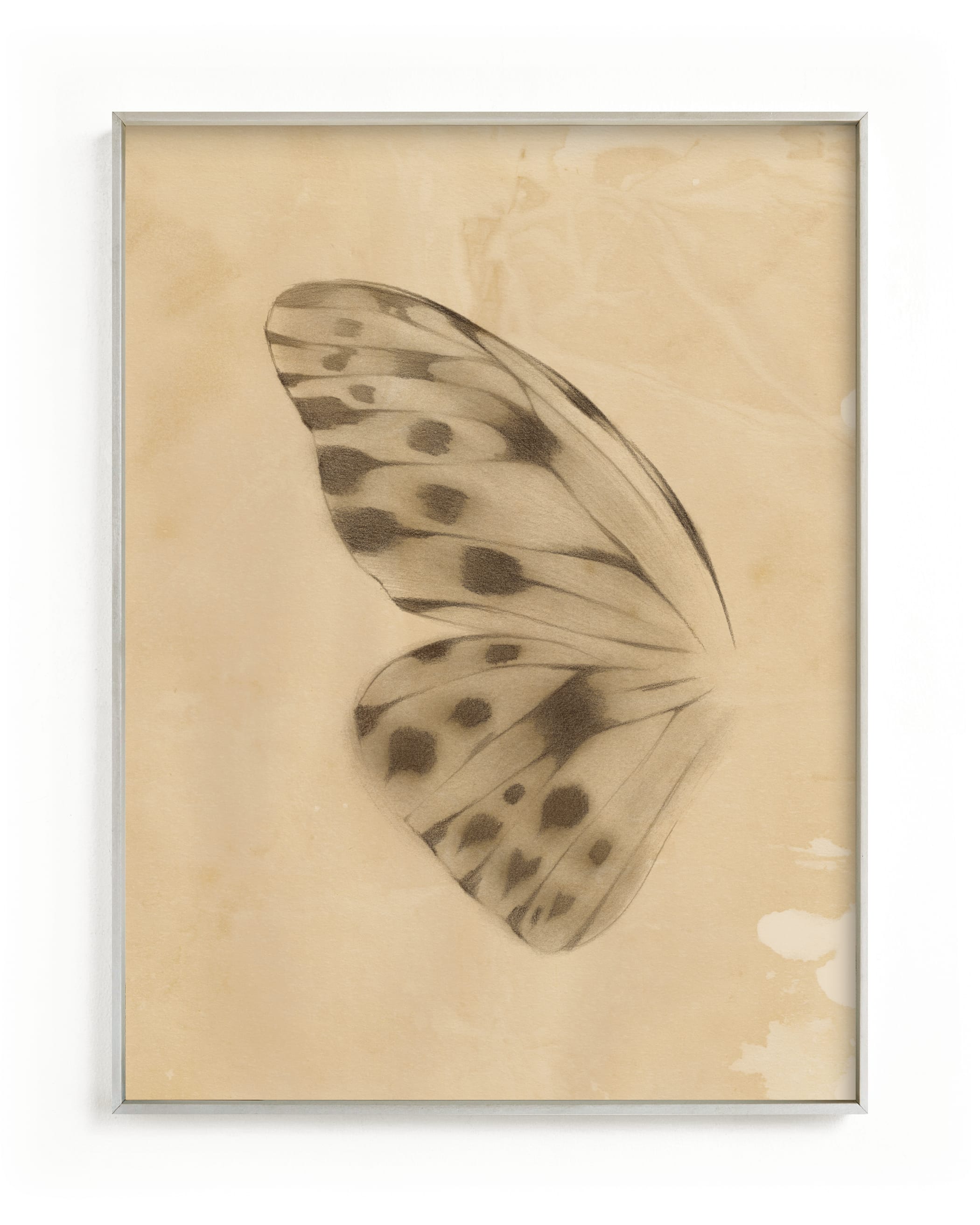 Vintage Mariposa I Wall Art Print