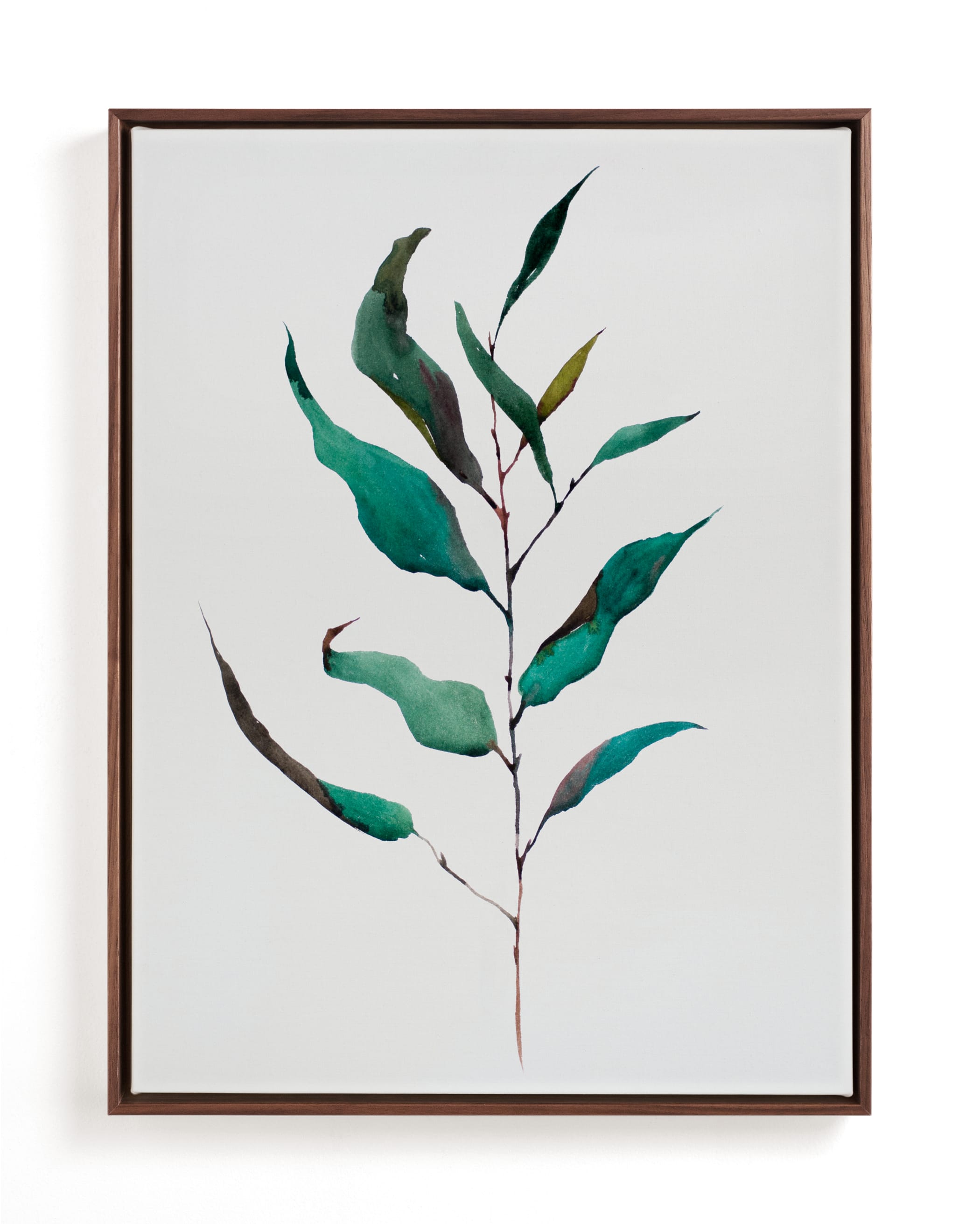 Eucalyptus Foliage Art Print