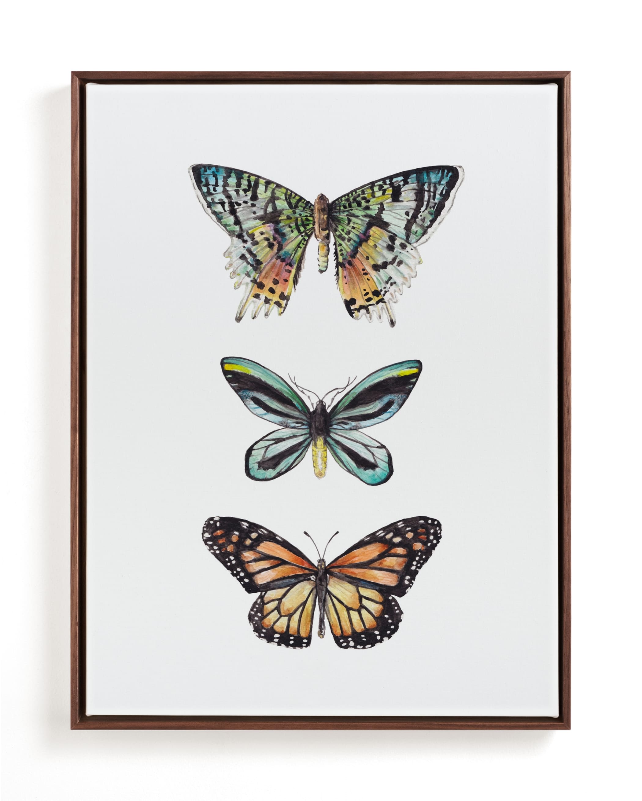 Butterfly Colorful Watercolors Children's Art Print