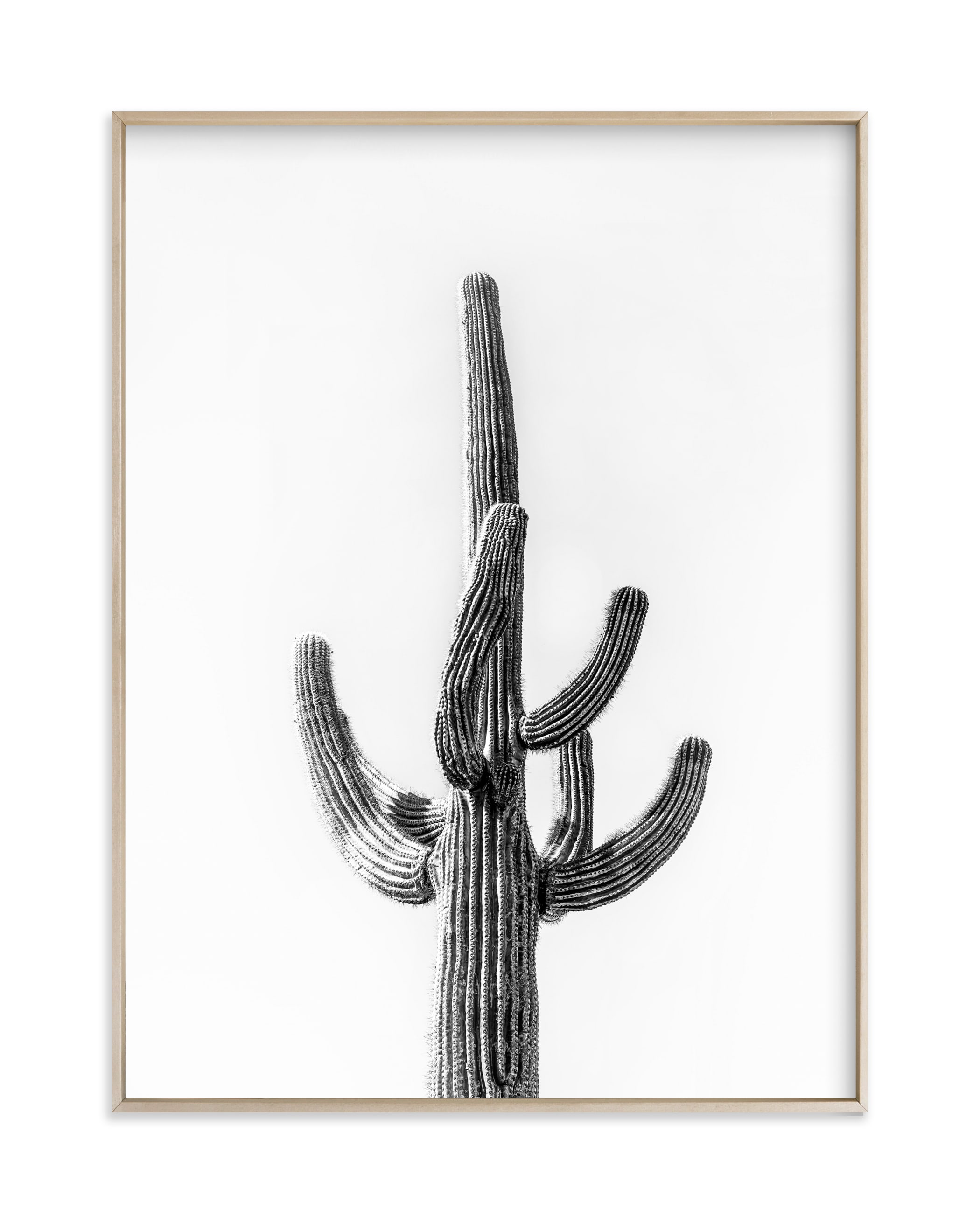 Lone Cactus Wall Art Print