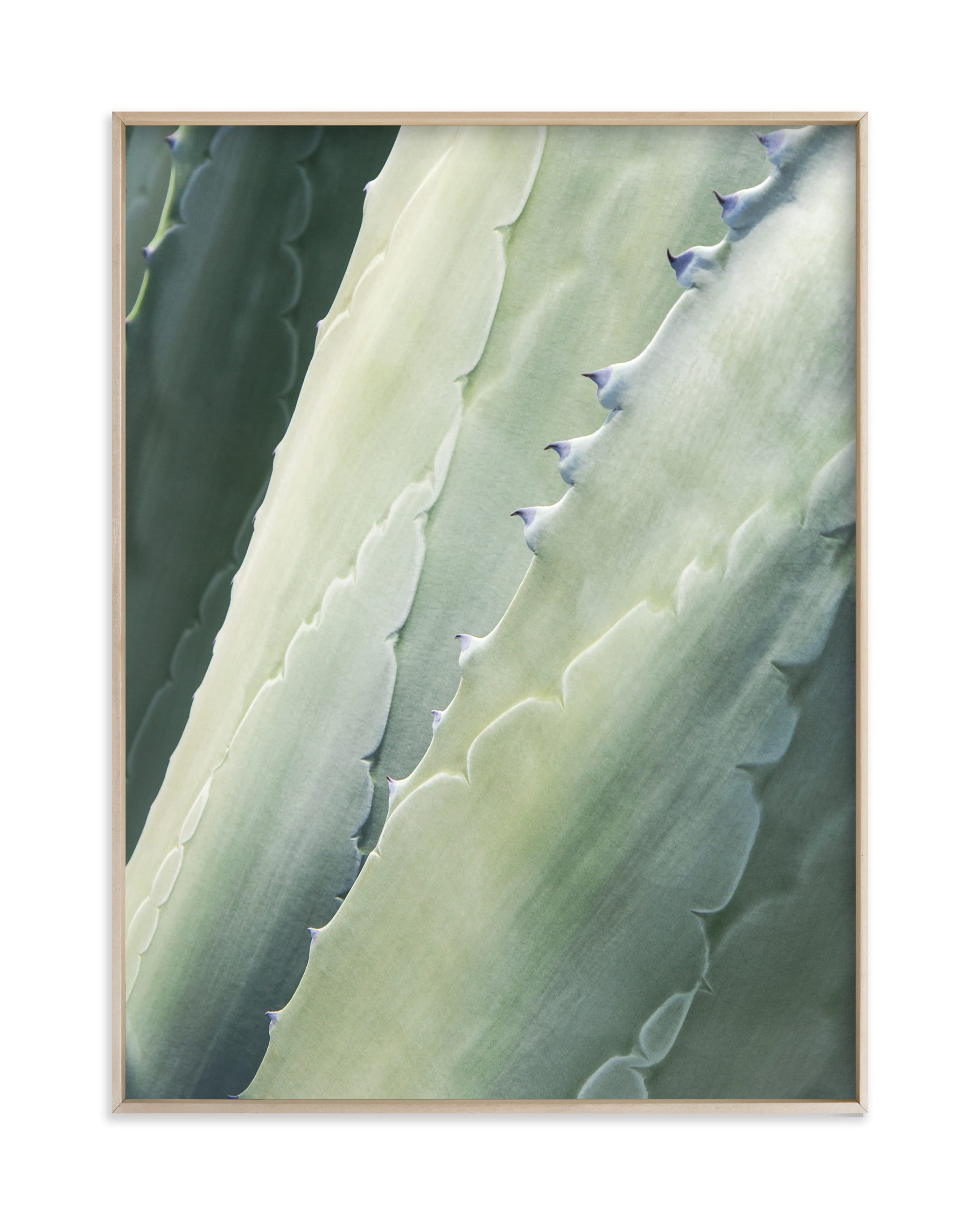 "Botanical II" - Limited Edition Art Print by Whitley Williams in beautiful frame options and a variety of sizes.