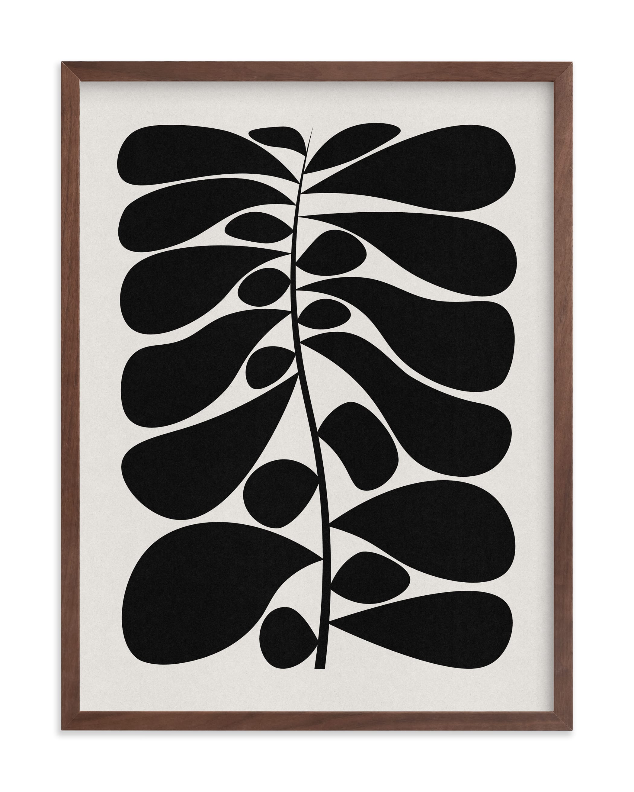 "Black Plant I" - Limited Edition Art Print by Alisa Galitsyna in beautiful frame options and a variety of sizes.