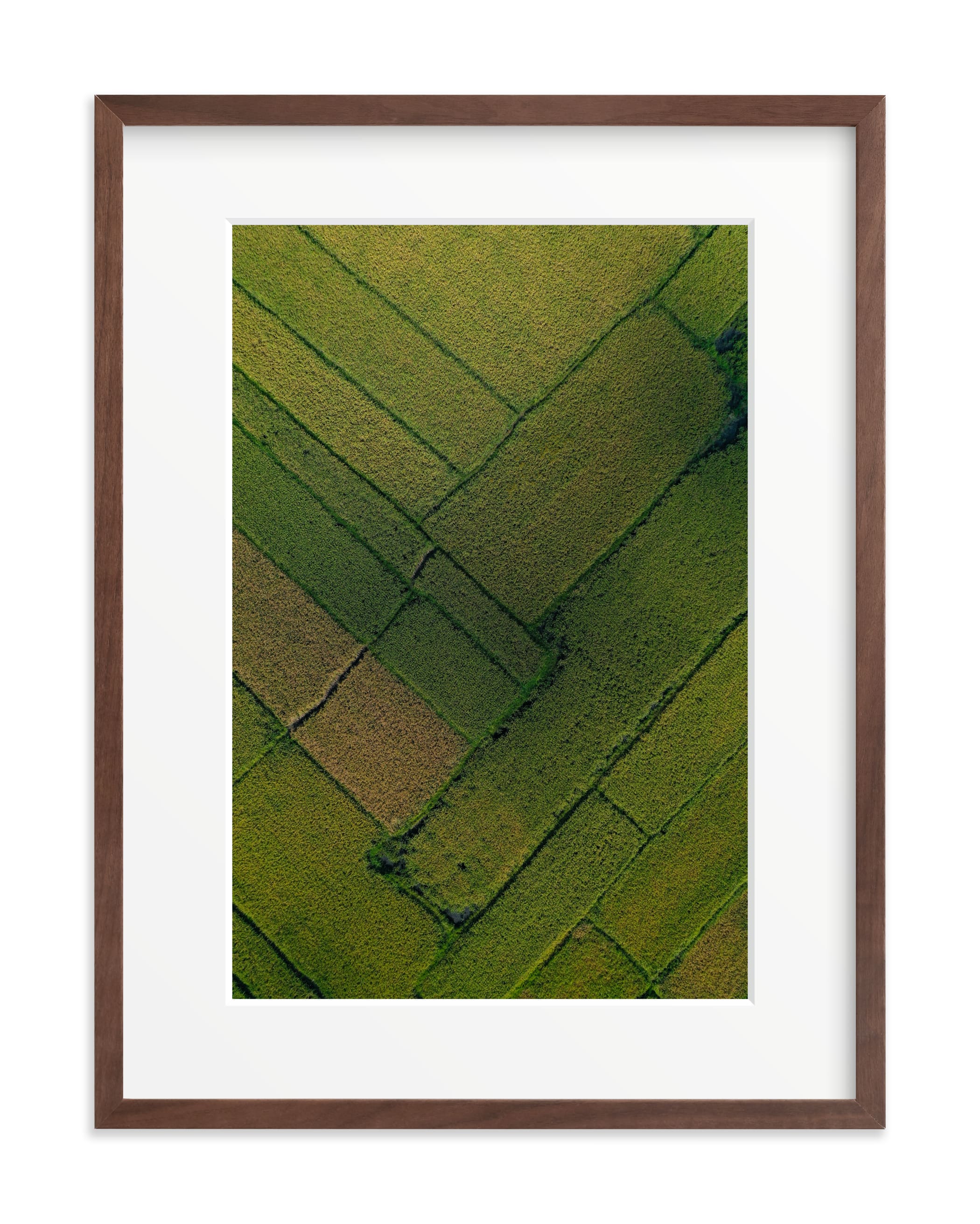 Above the Paddy Wall Art Print