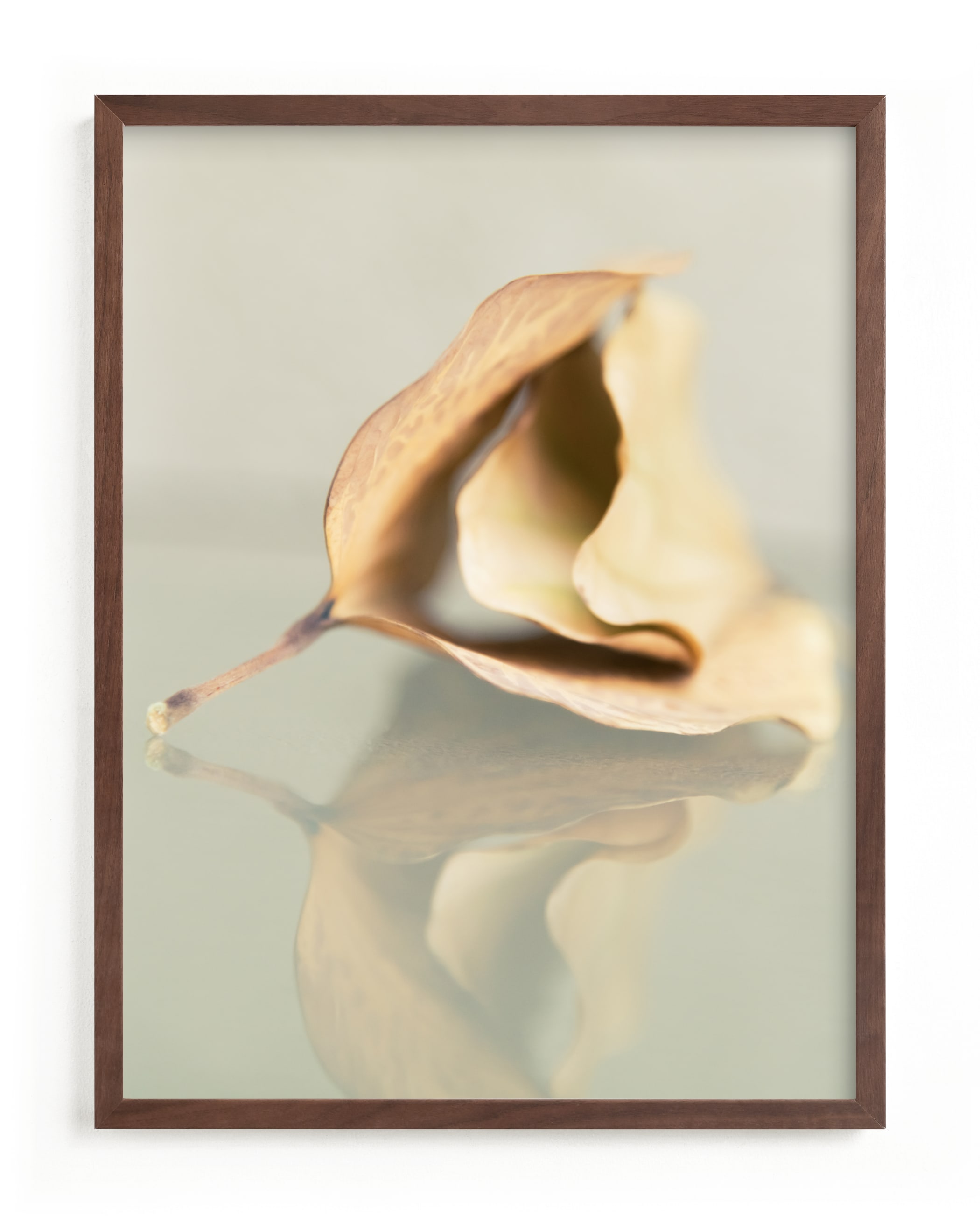 "Harmony" - Limited Edition Art Print by Shawna Urban in beautiful frame options and a variety of sizes.