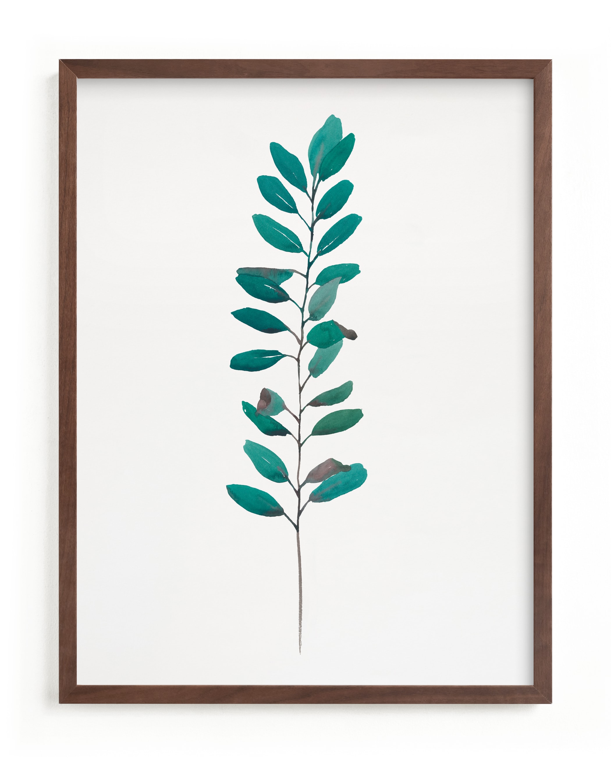 Curry Tree Art Print
