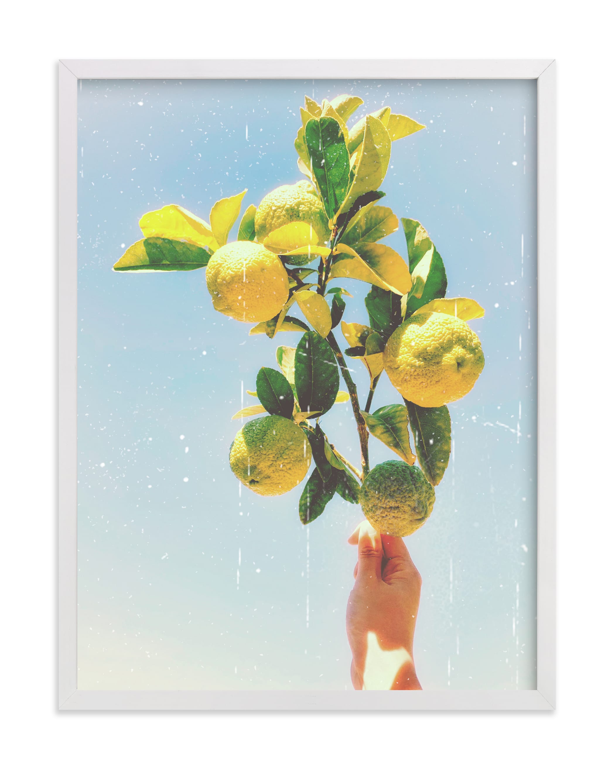 Lemon Dreaming Wall Art Print