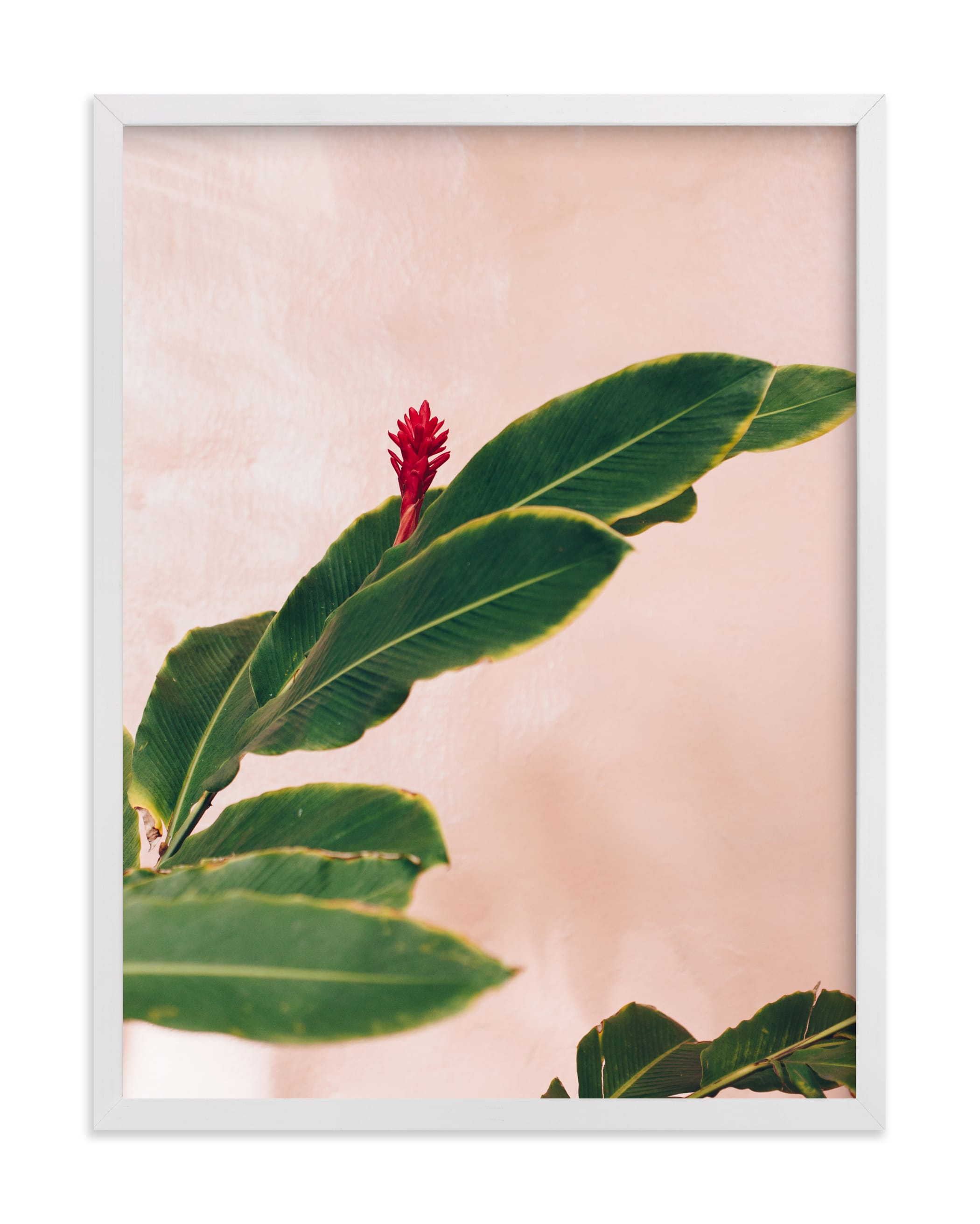 "Pink Hawaiian" - Limited Edition Art Print by The One With Wanderlust in beautiful frame options and a variety of sizes.