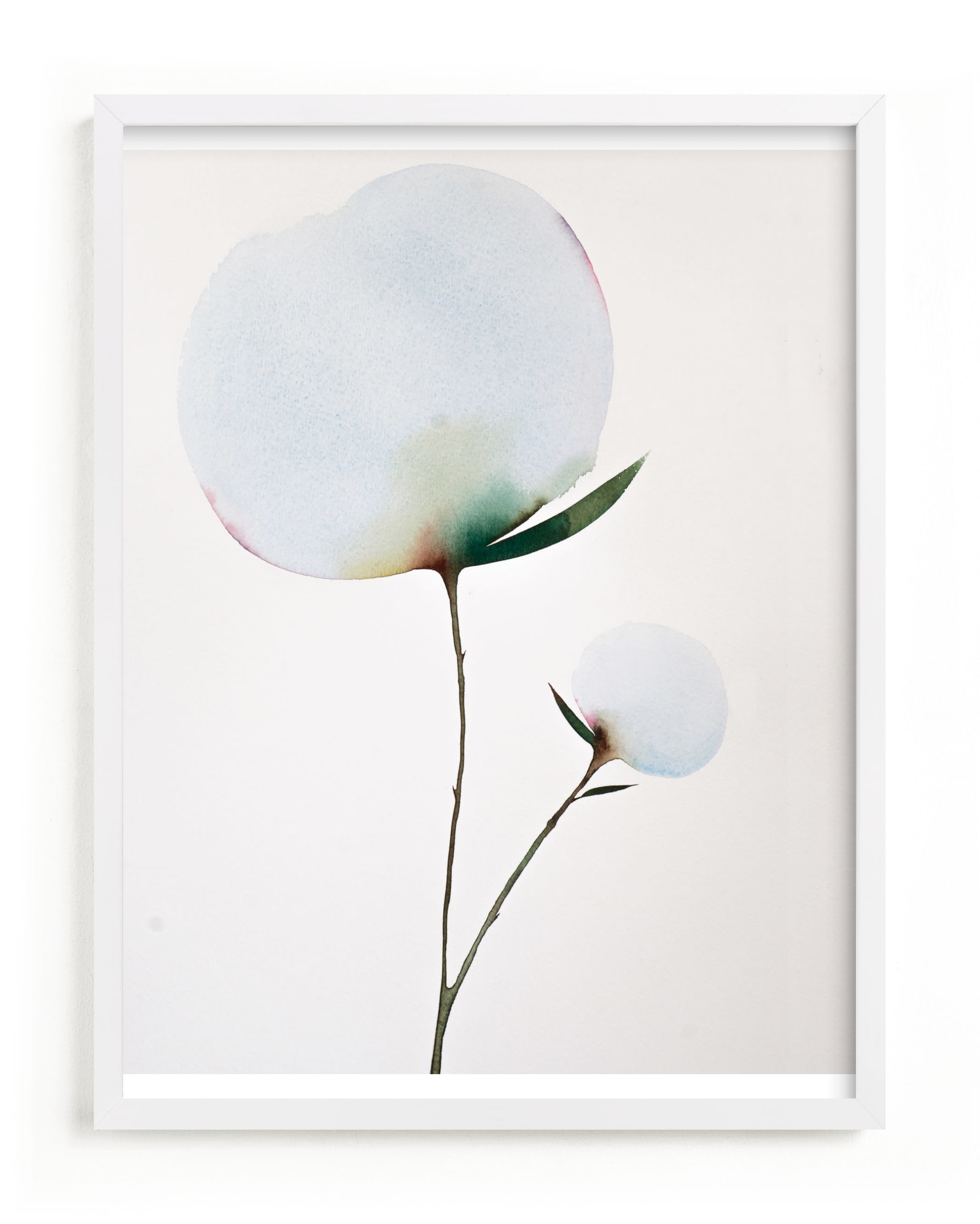 Paran Bloom 01 Art Print