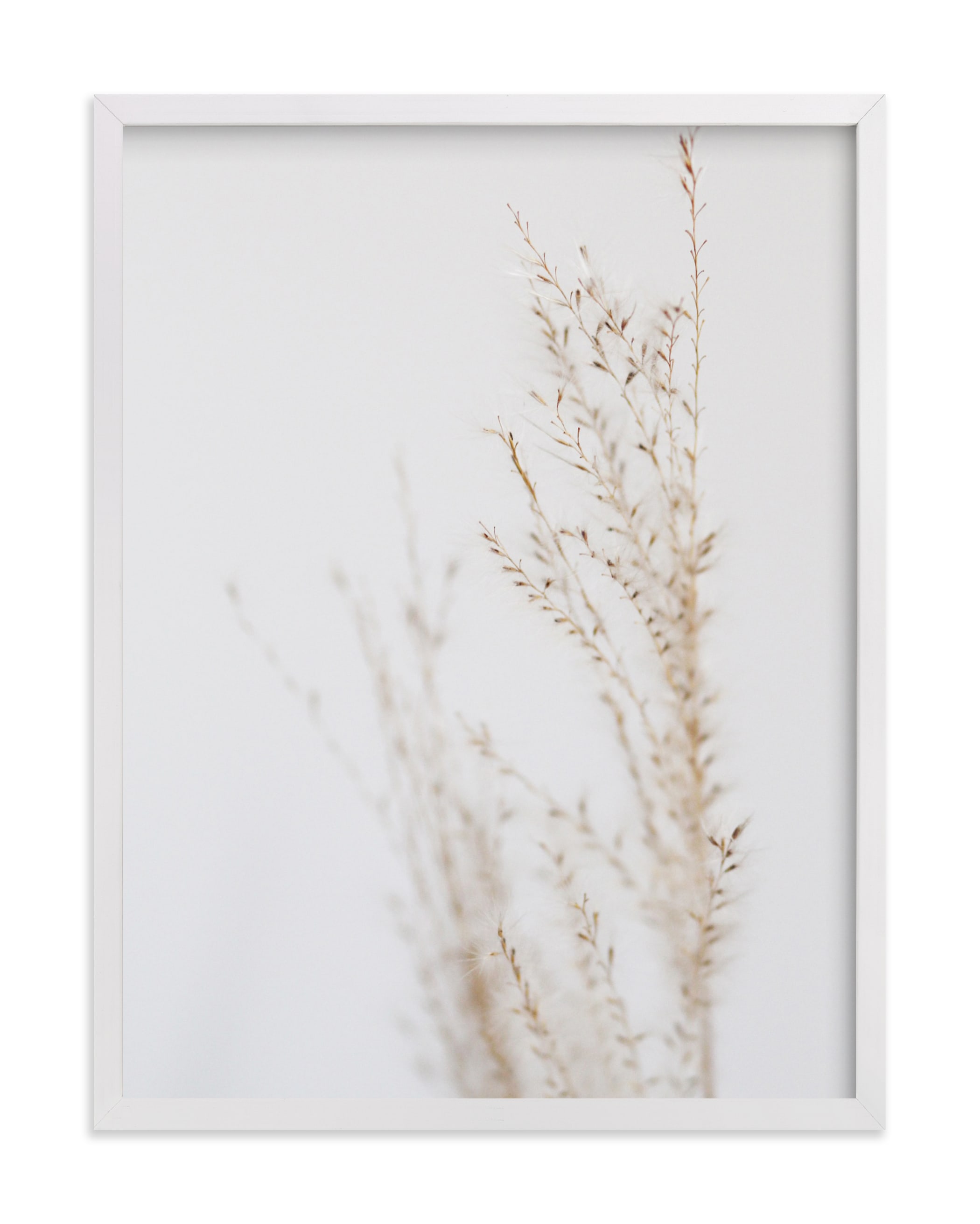 ghosted neutrals 3 Art Print