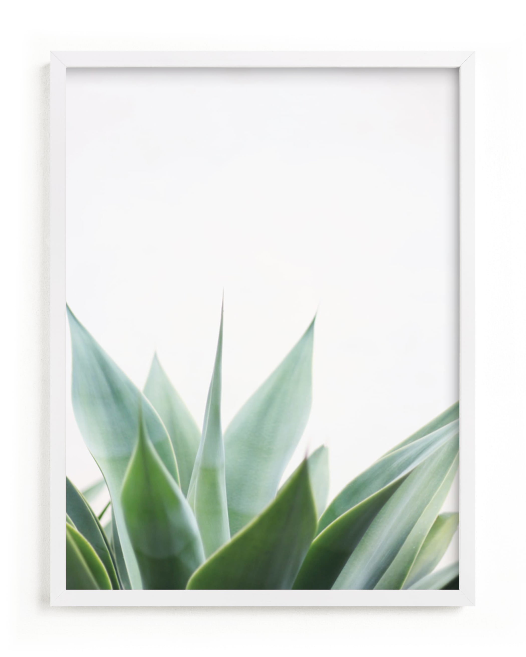 Balboa Park Art Print