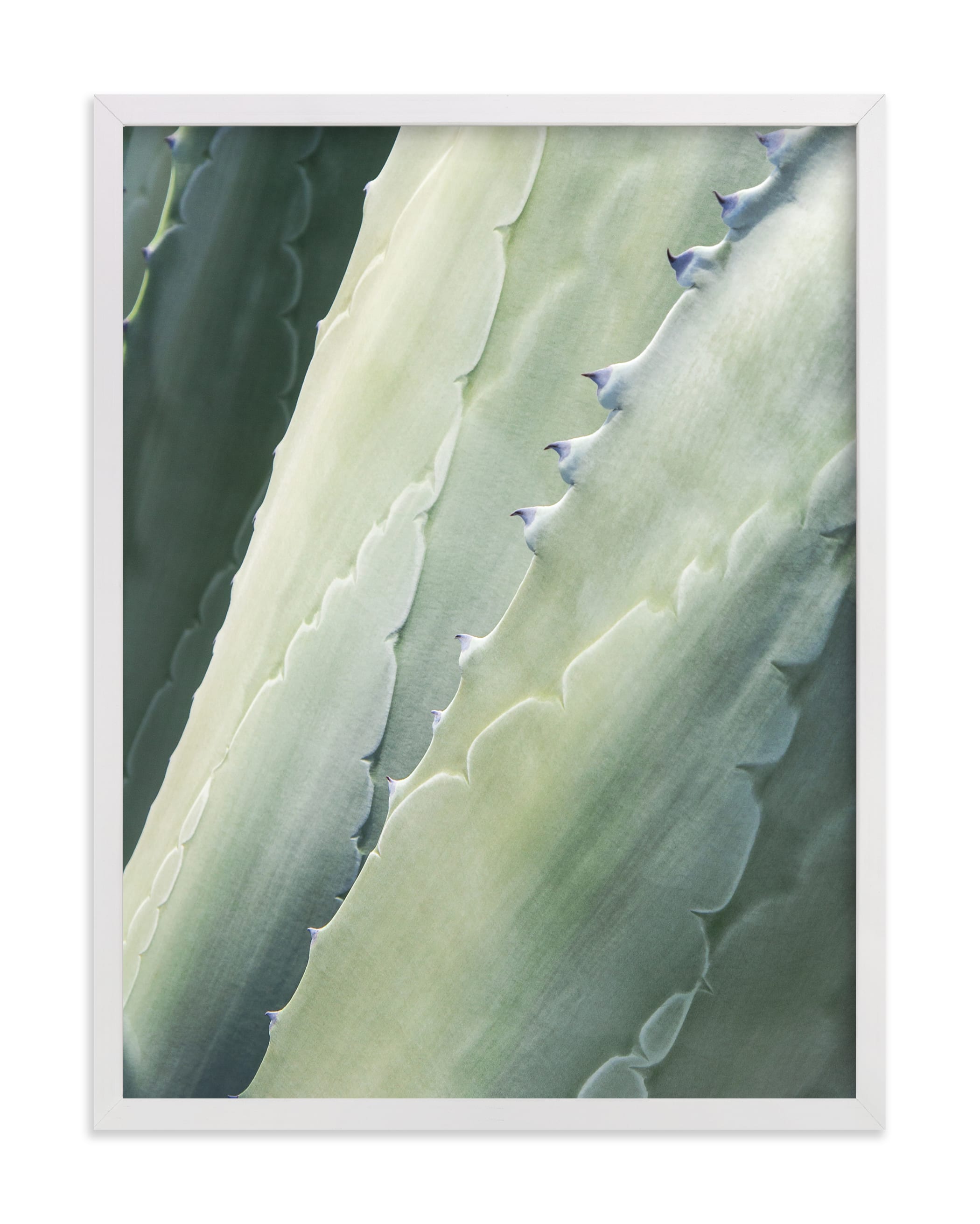 Botanical II Art Print