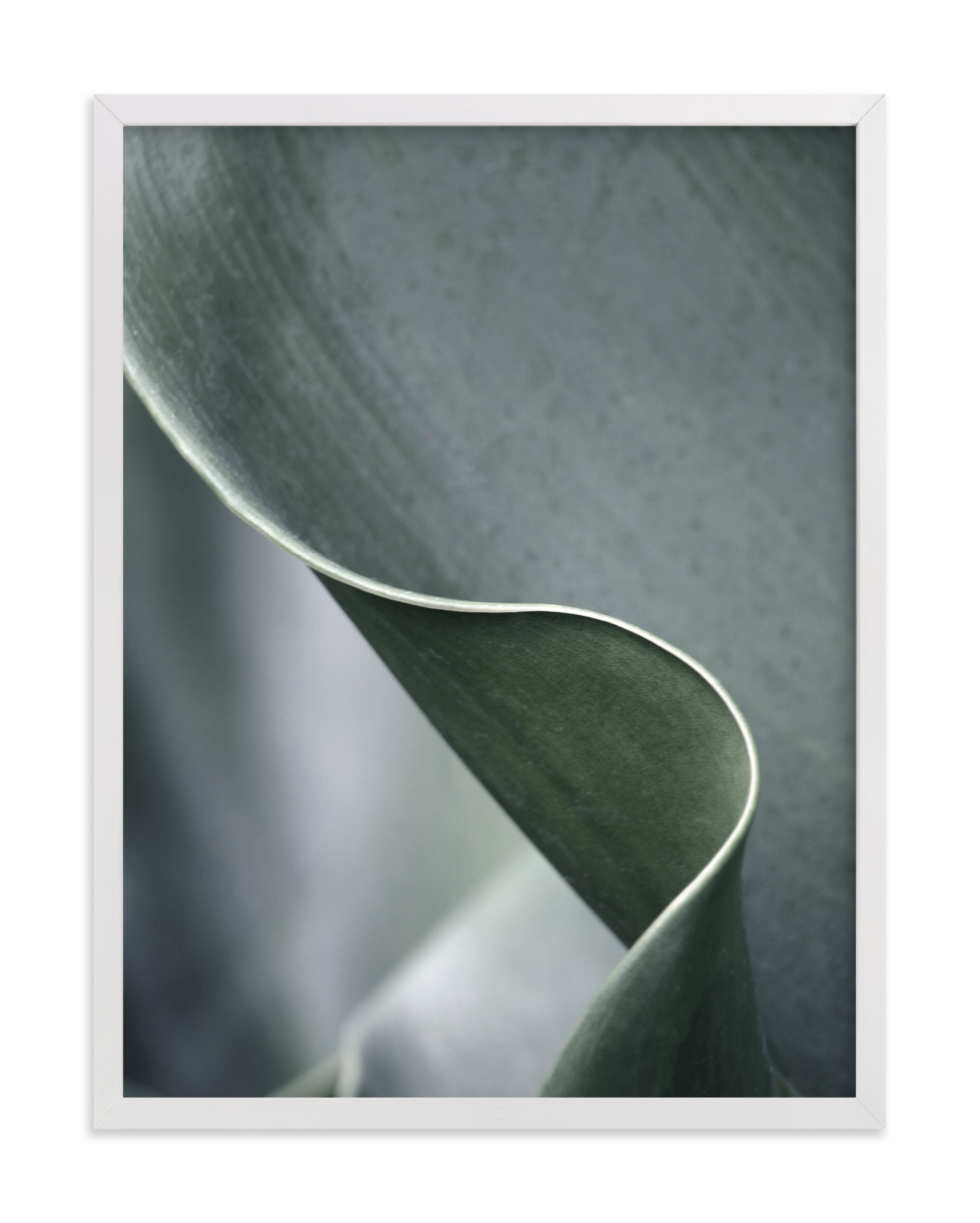 Botanic 3 Art Print