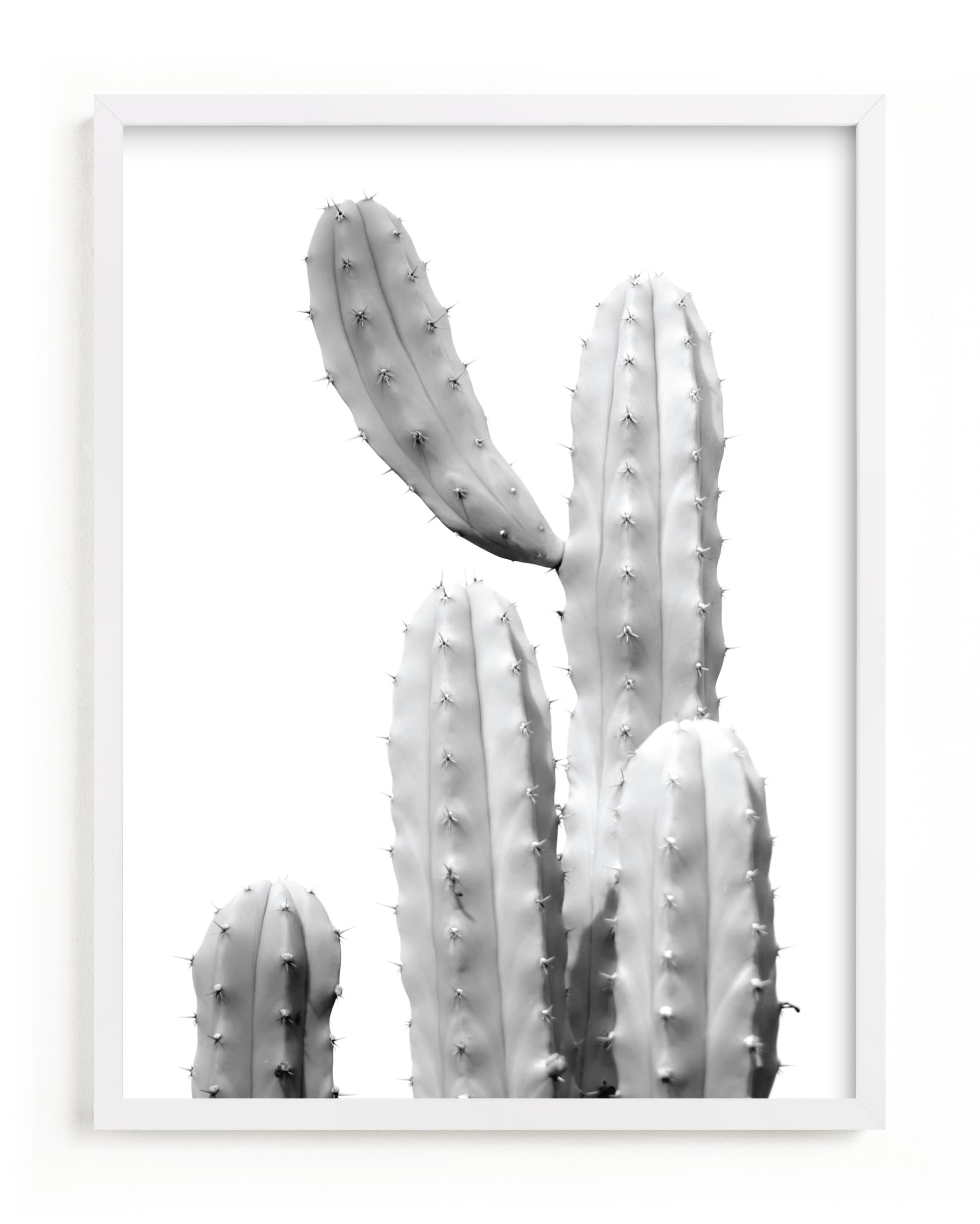 Moorten Cactus Study 1 Art Print