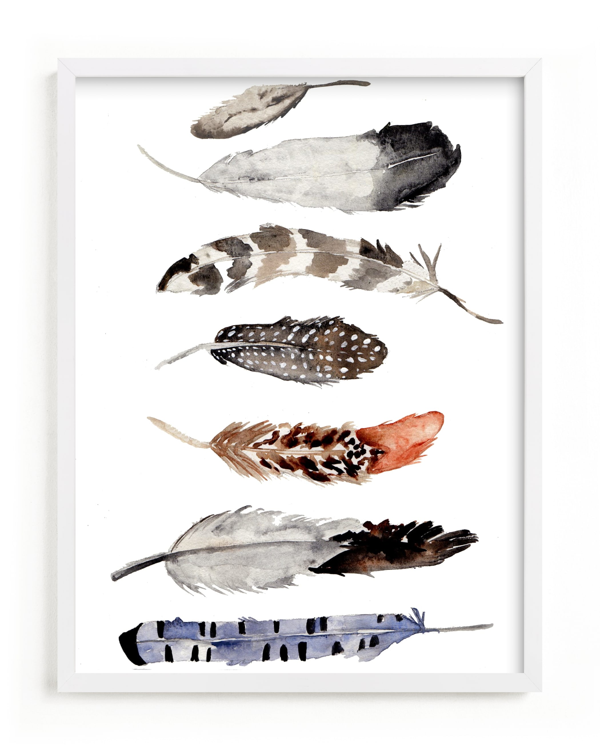 "Feather Print" - Limited Edition Art Print by Shannon Kirsten in beautiful frame options and a variety of sizes.
