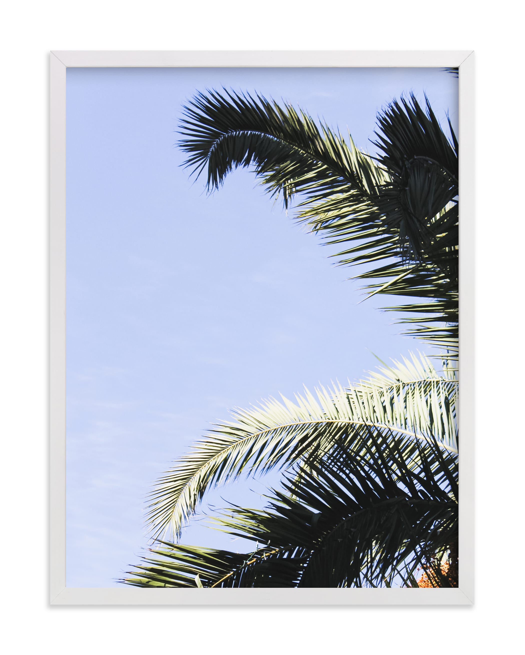 "Palm I" - Limited Edition Art Print by Annie Montgomery in beautiful frame options and a variety of sizes.