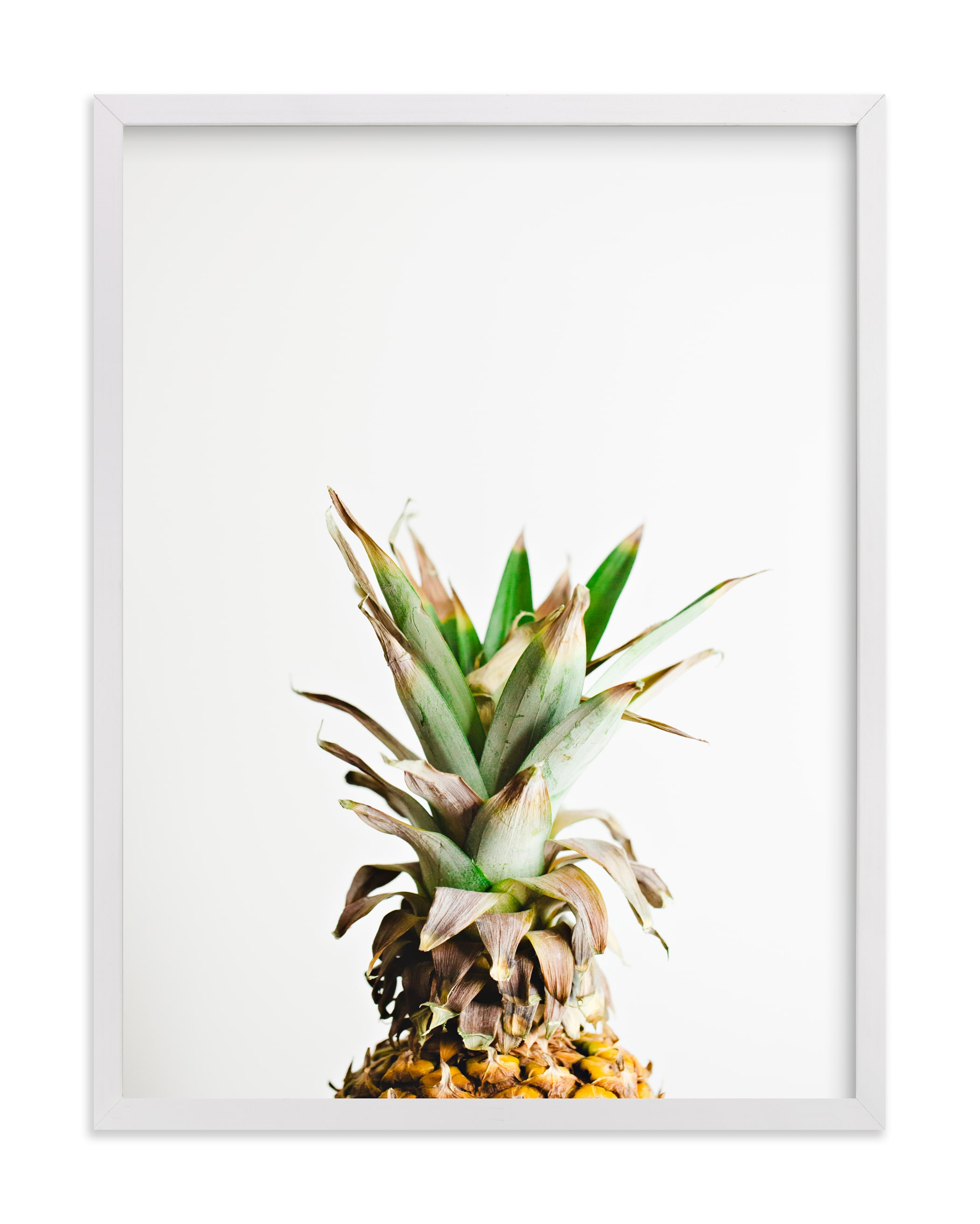 "Pining for Pineapple" - Limited Edition Art Print by Joni Tyrrell in beautiful frame options and a variety of sizes.