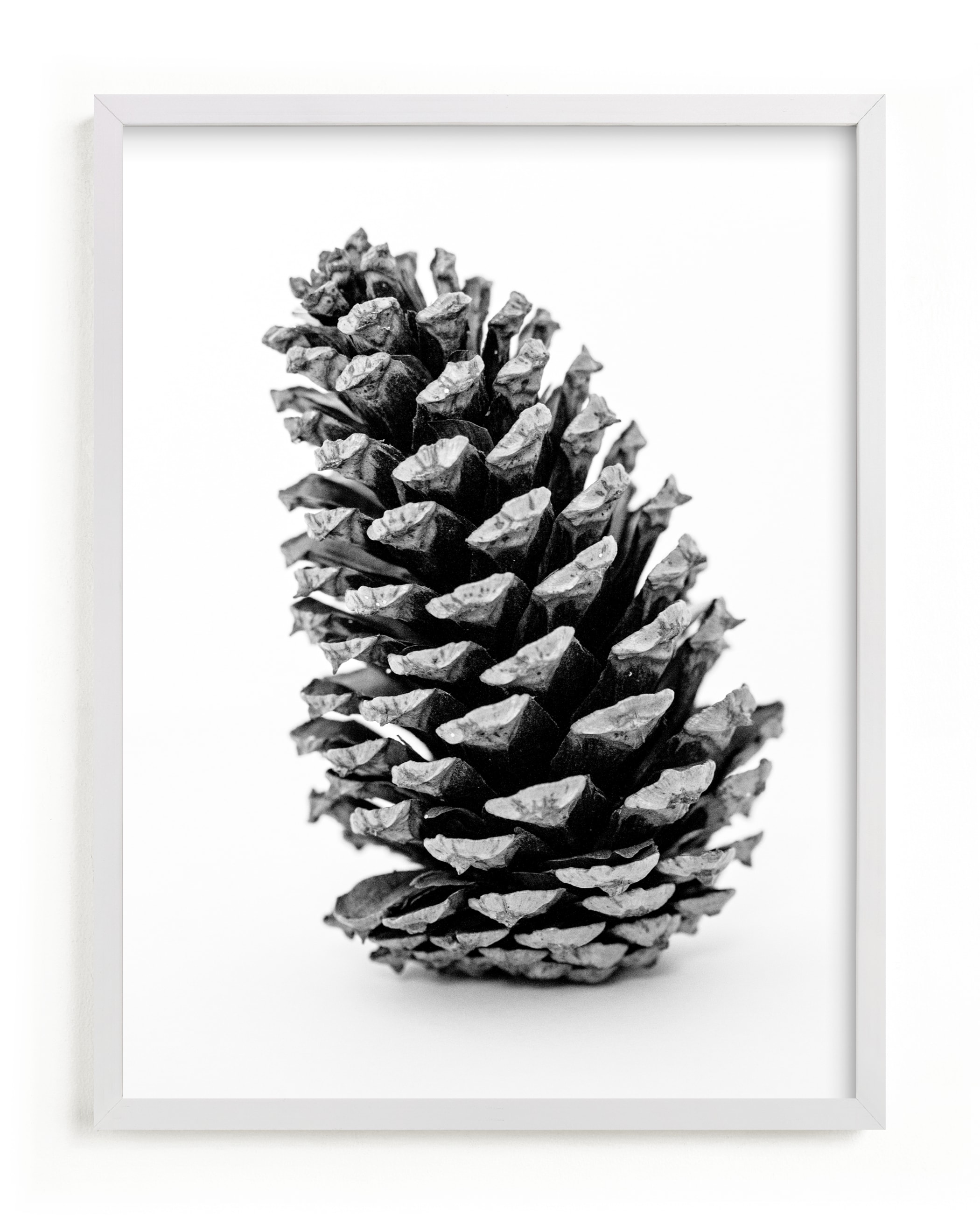 "Tall Pine Cone" by Alexis Arnold in beautiful frame options and a variety of sizes.