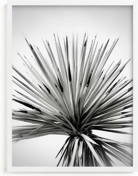 This is a black and white art by Melissa Agular called Midsummer Haze.