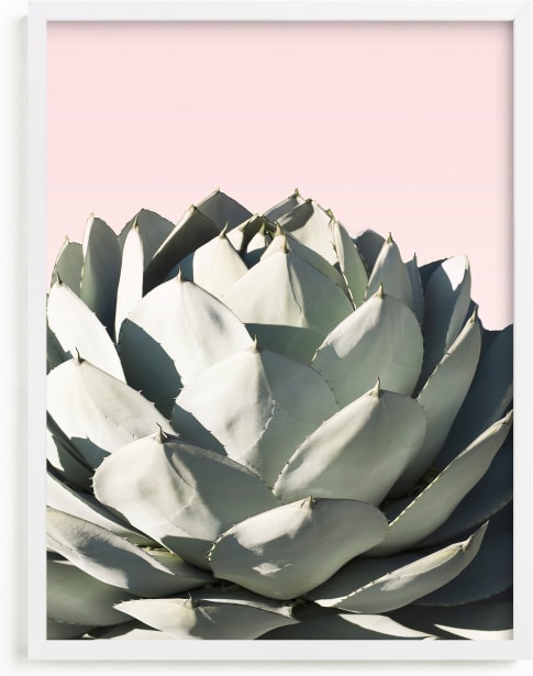 This is a colorful art by Wilder California called Pink Agave.