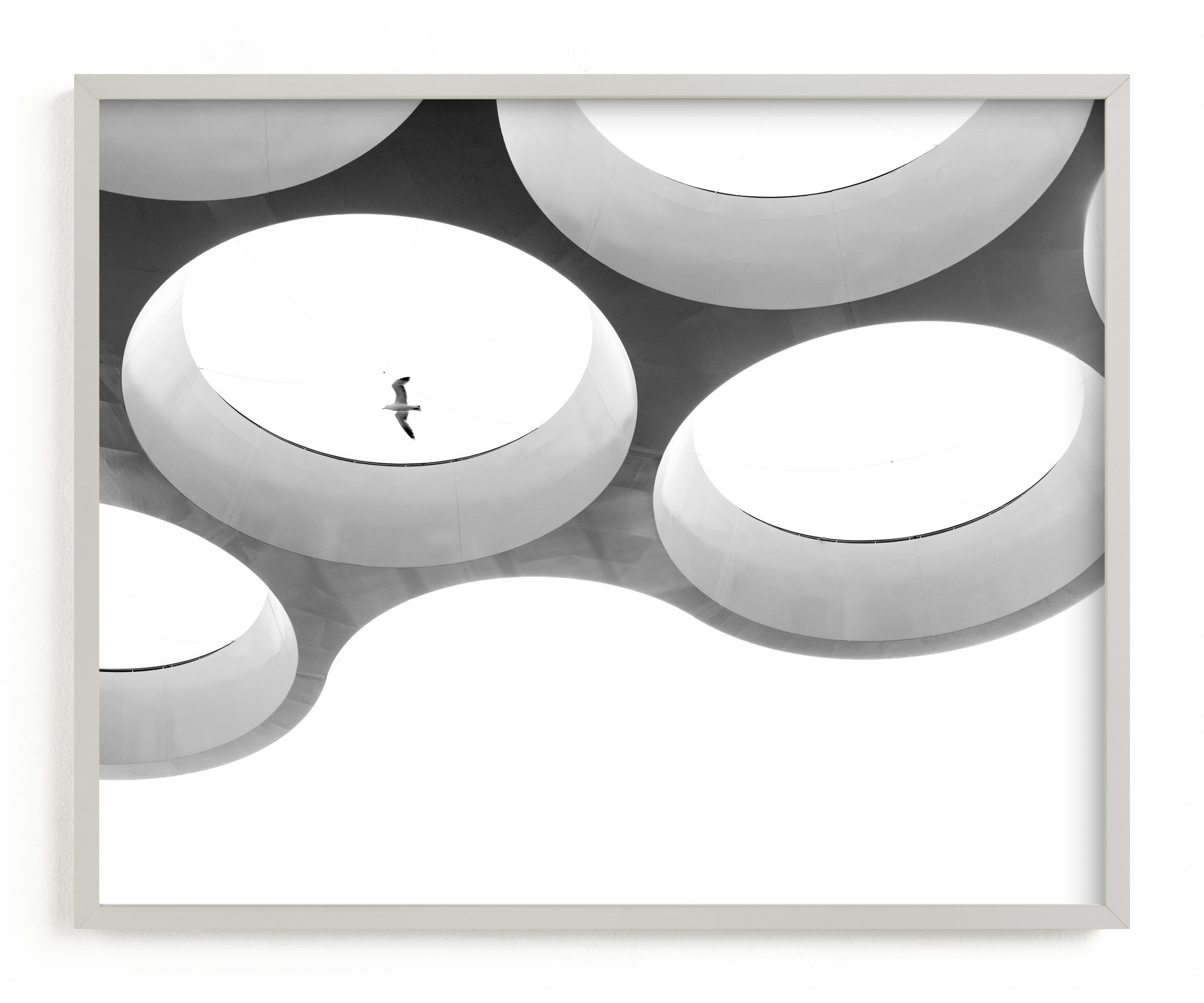 In Flight Art Print