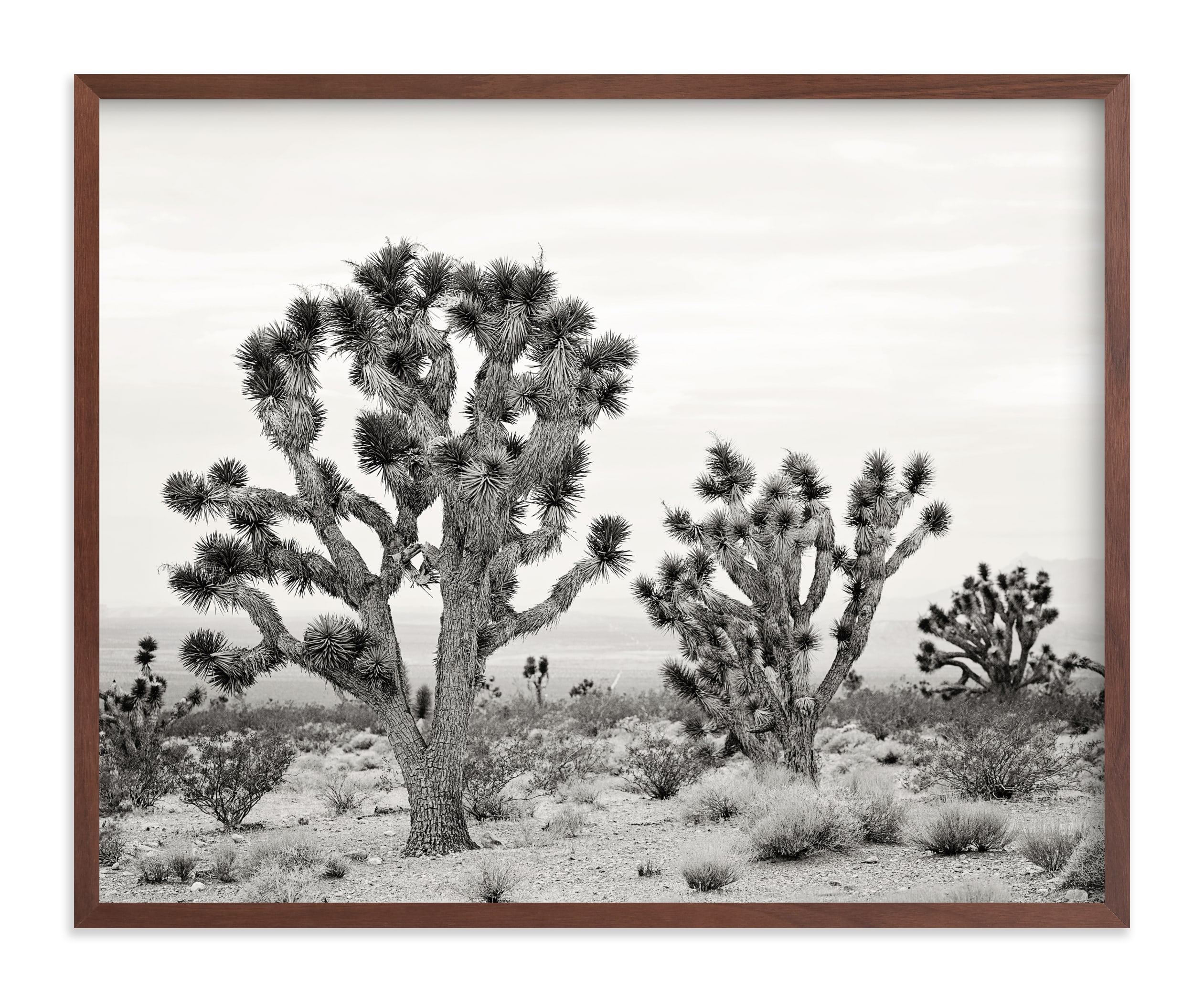 Joshua Tree Wall Art Prints by Kristi Jackson Minted