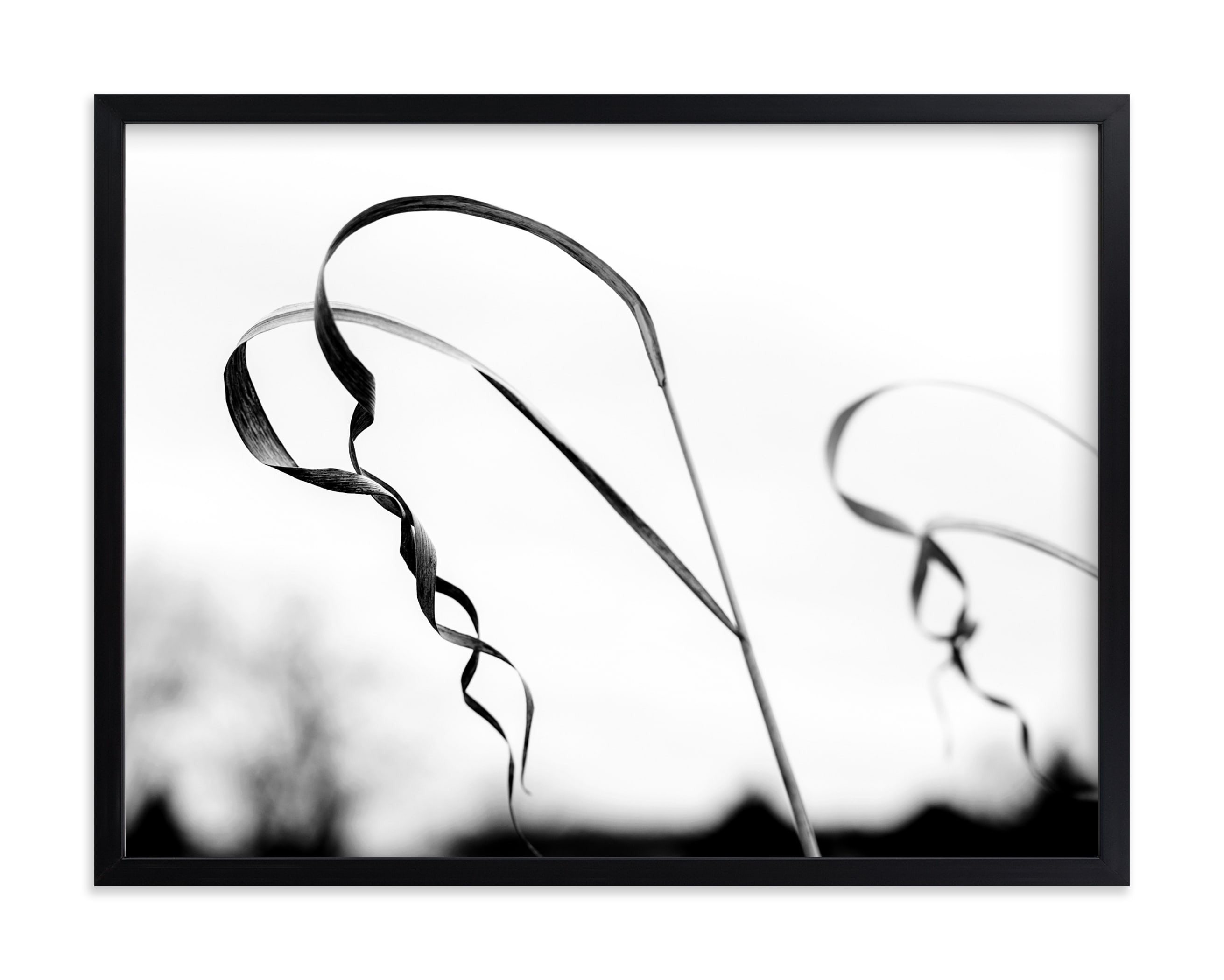 "Twisted Grass" by Alexis Arnold in beautiful frame options and a variety of sizes.