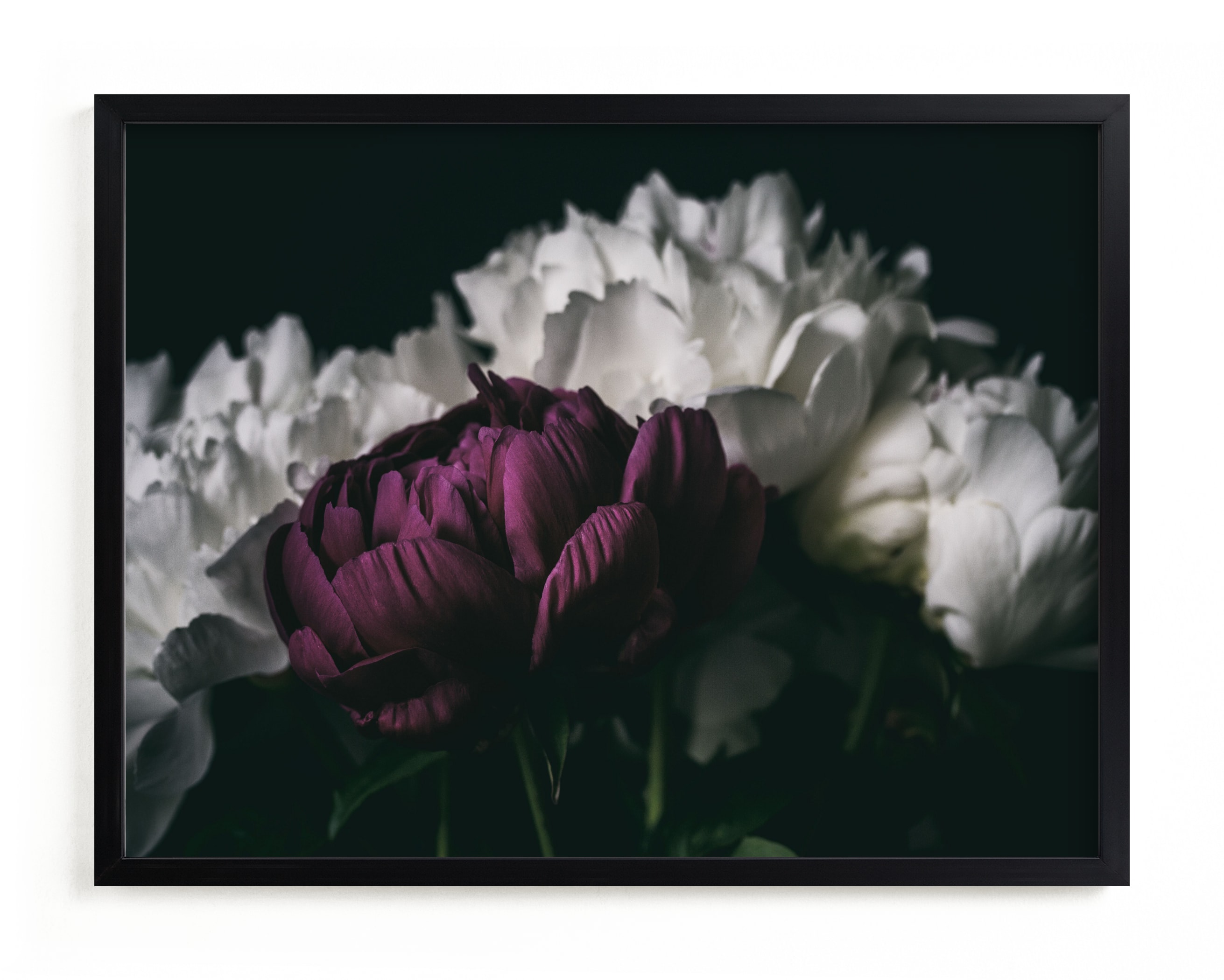 "Magenta Beauty" by Alexis Arnold in beautiful frame options and a variety of sizes.