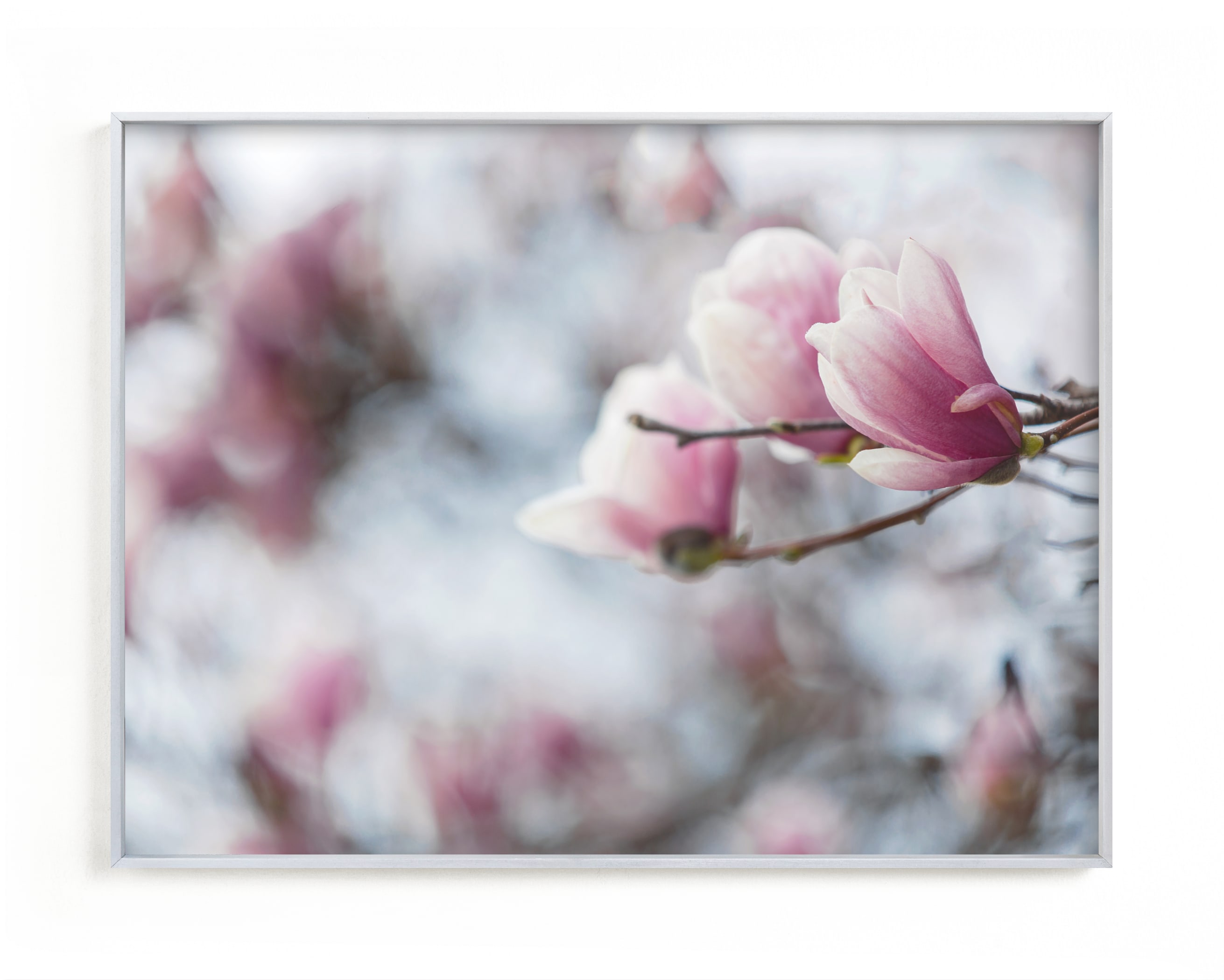 "cordially pink" by Alicia Abla in beautiful frame options and a variety of sizes.
