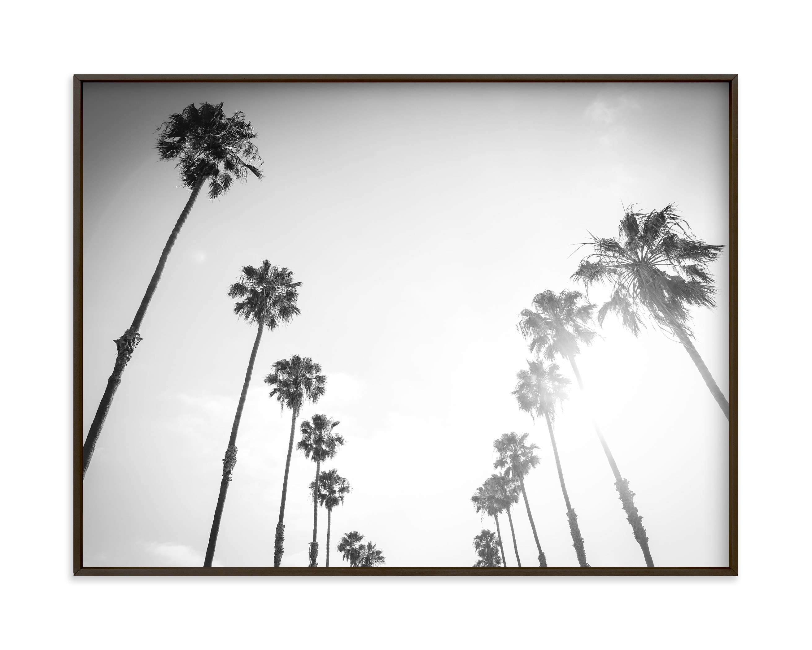 "California Palms" - Limited Edition Art Print by Lauren Armellini in beautiful frame options and a variety of sizes.